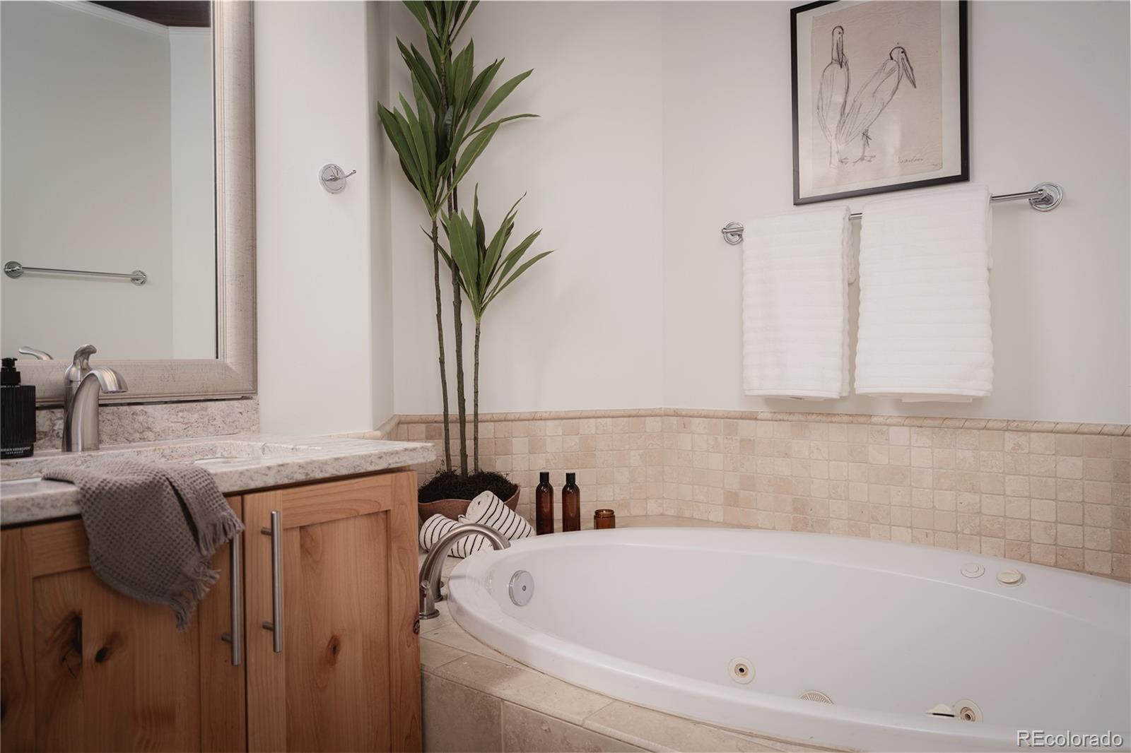MLS Image #22 for 1127  auraria parkway,denver, Colorado