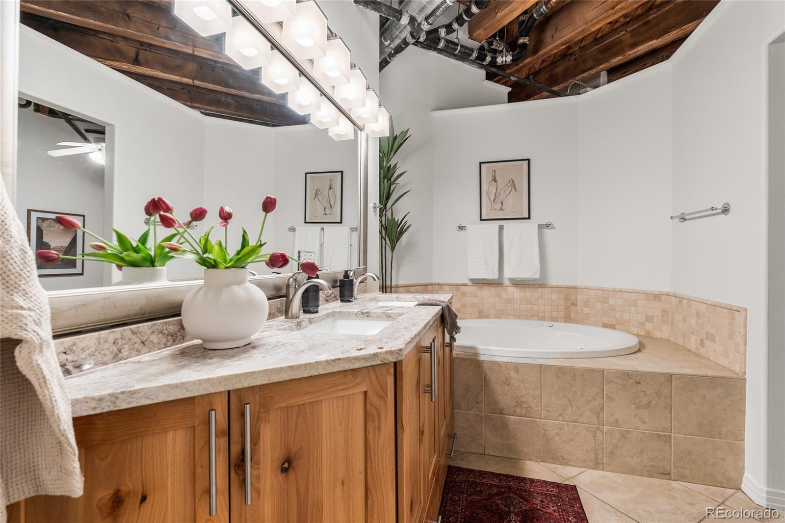 MLS Image #40 for 1127  auraria parkway,denver, Colorado