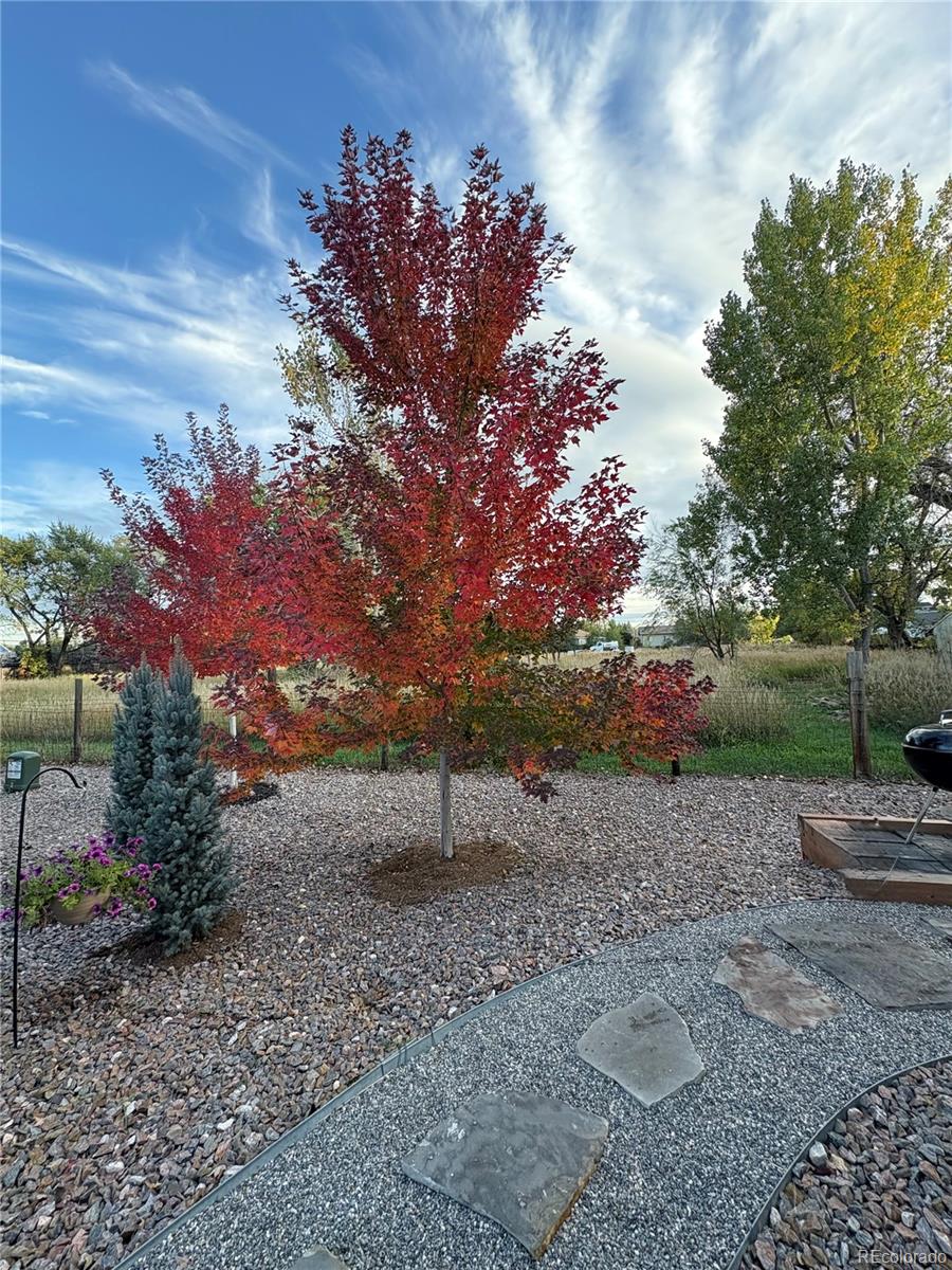 MLS Image #42 for 8652 w 49th place,arvada, Colorado