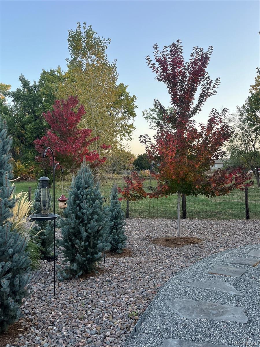 MLS Image #45 for 8652 w 49th place,arvada, Colorado