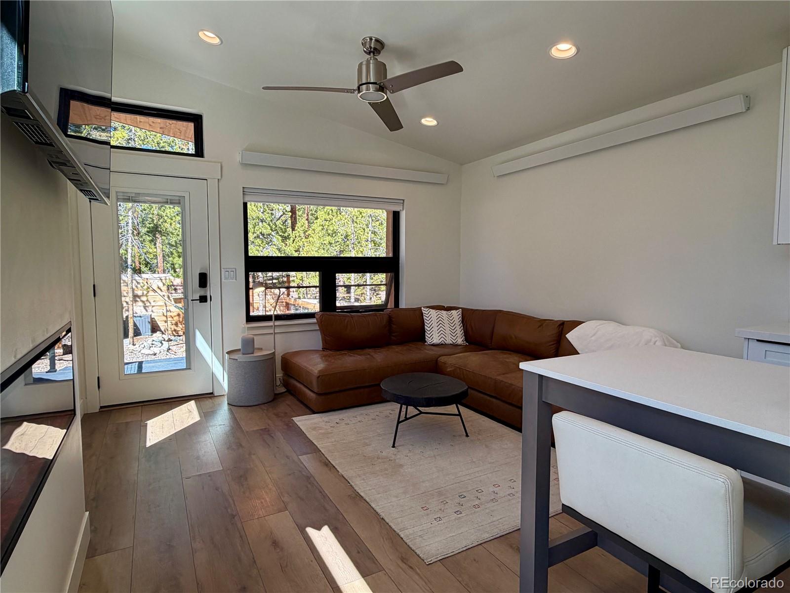 MLS Image #5 for 341  cedar drive,leadville, Colorado