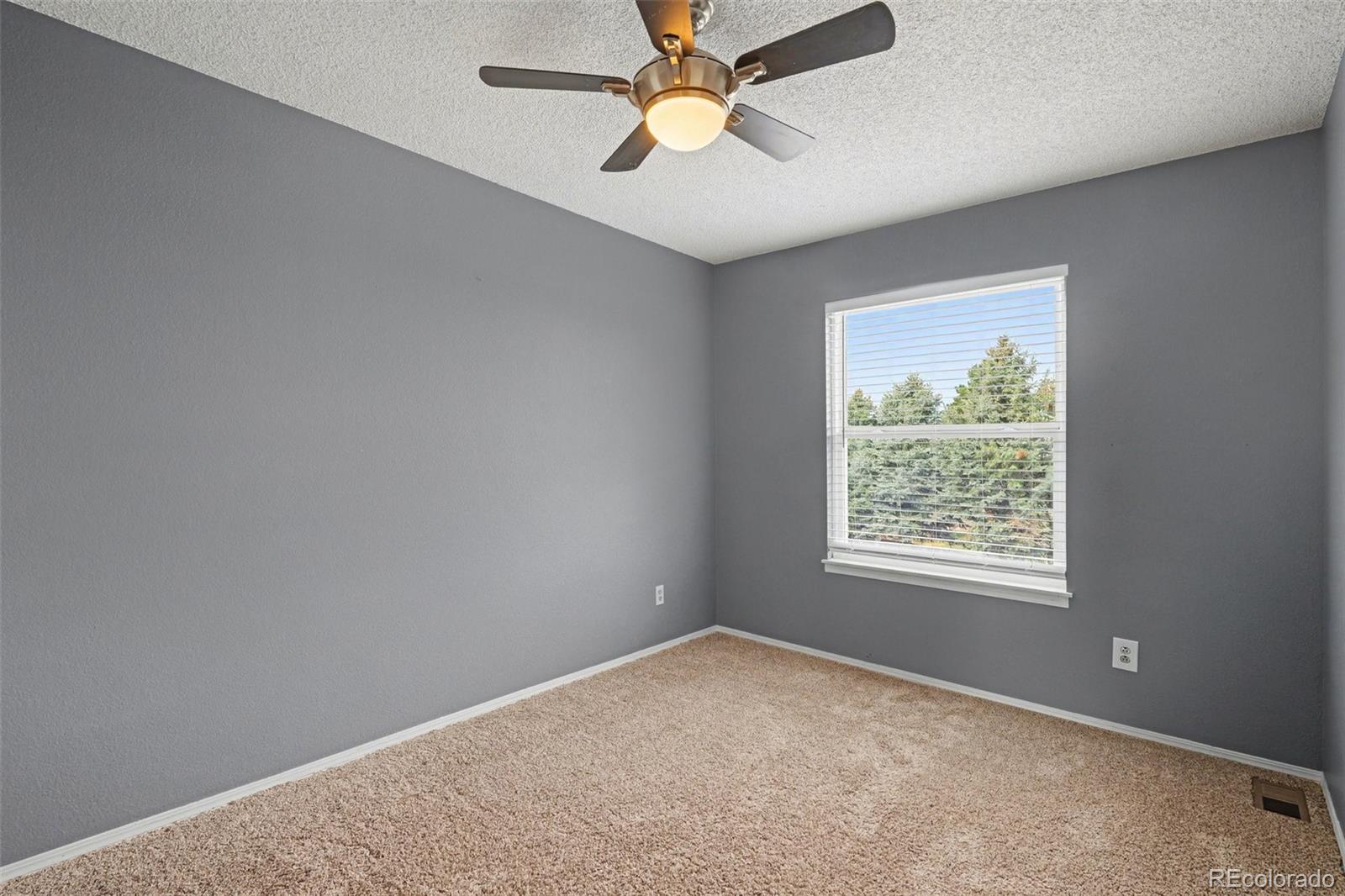 MLS Image #18 for 8994  bermuda run circle,highlands ranch, Colorado
