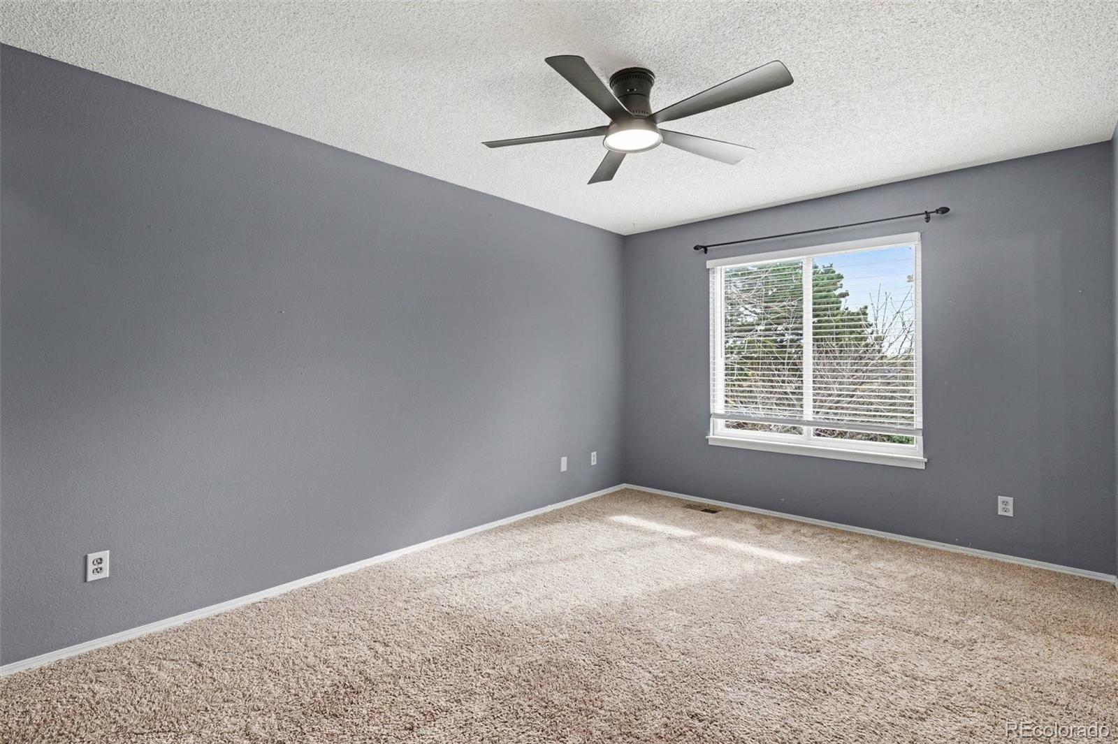 MLS Image #19 for 8994  bermuda run circle,highlands ranch, Colorado