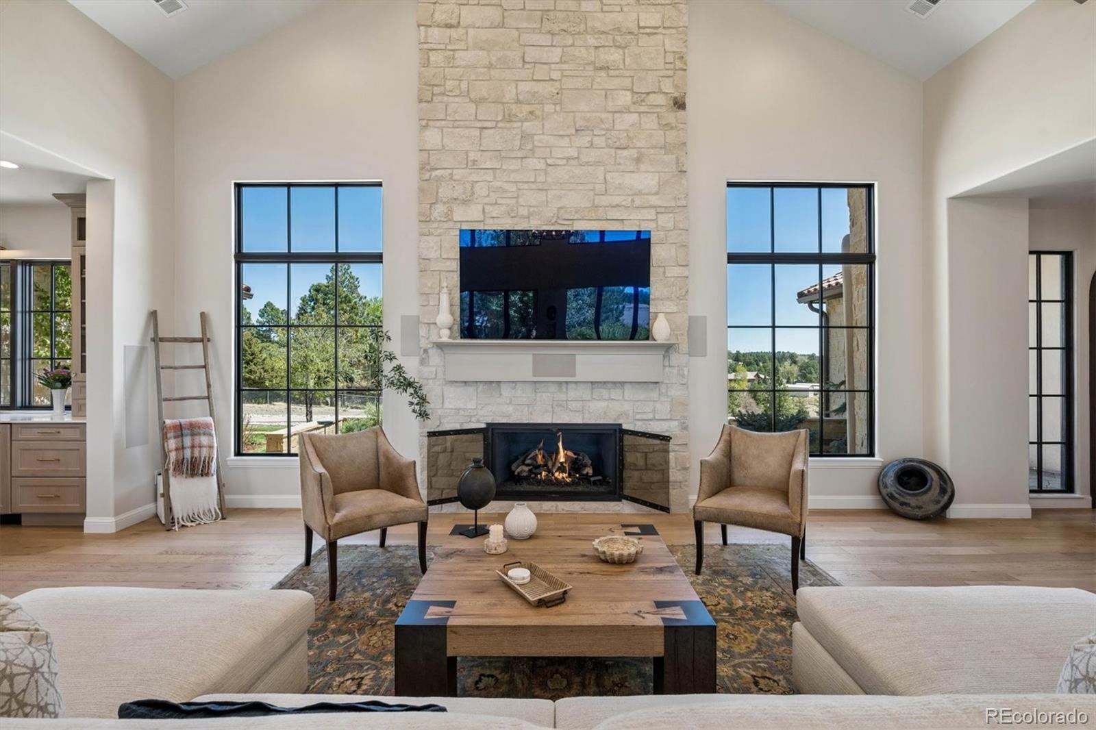 MLS Image #4 for 12455  spring creek road,parker, Colorado
