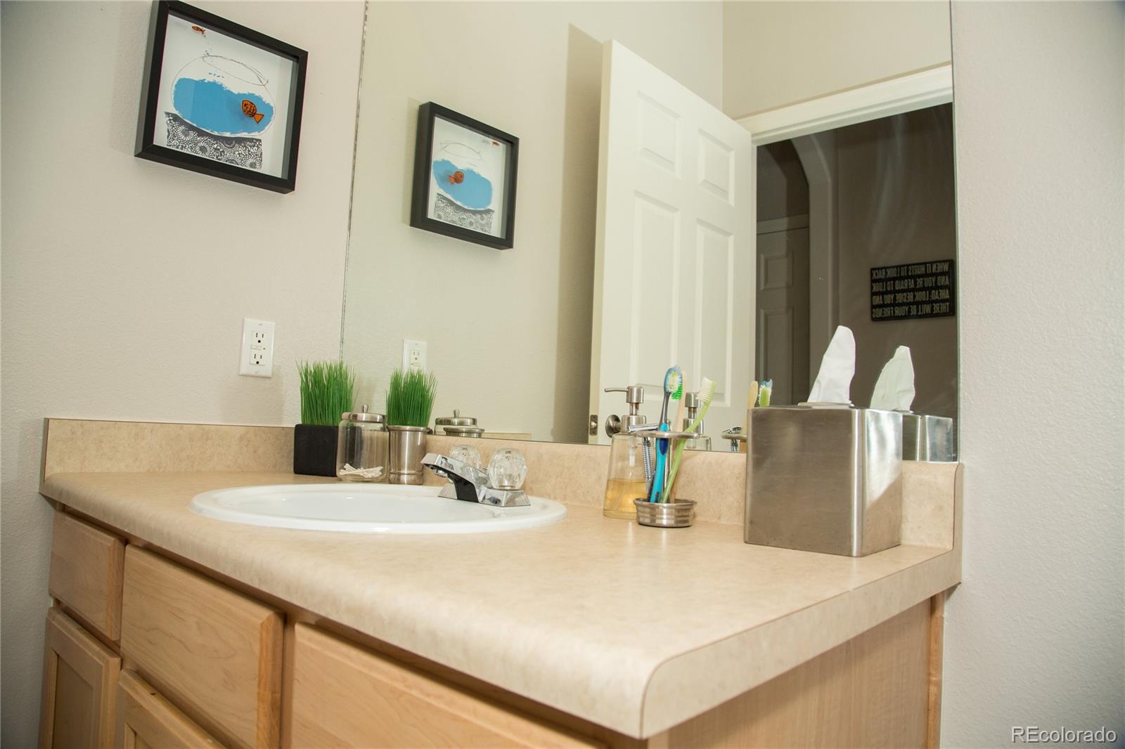 MLS Image #26 for 1574  olympia circle 205,castle rock, Colorado