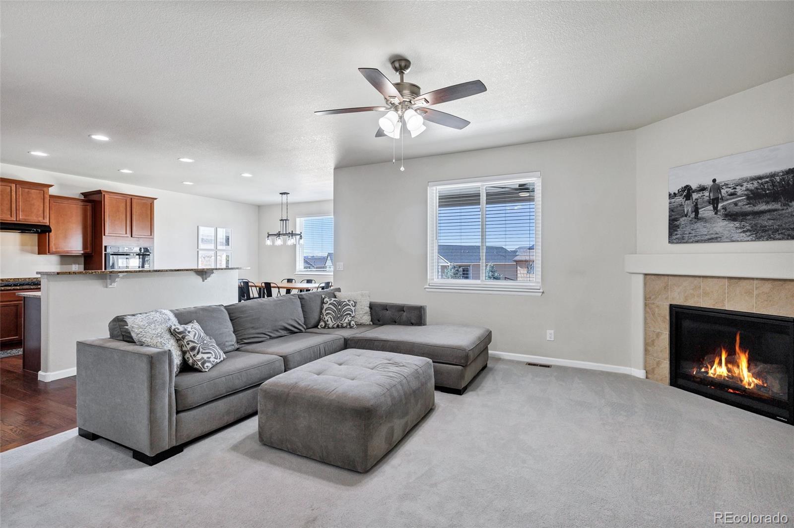 MLS Image #8 for 5513  harbor town drive,elizabeth, Colorado