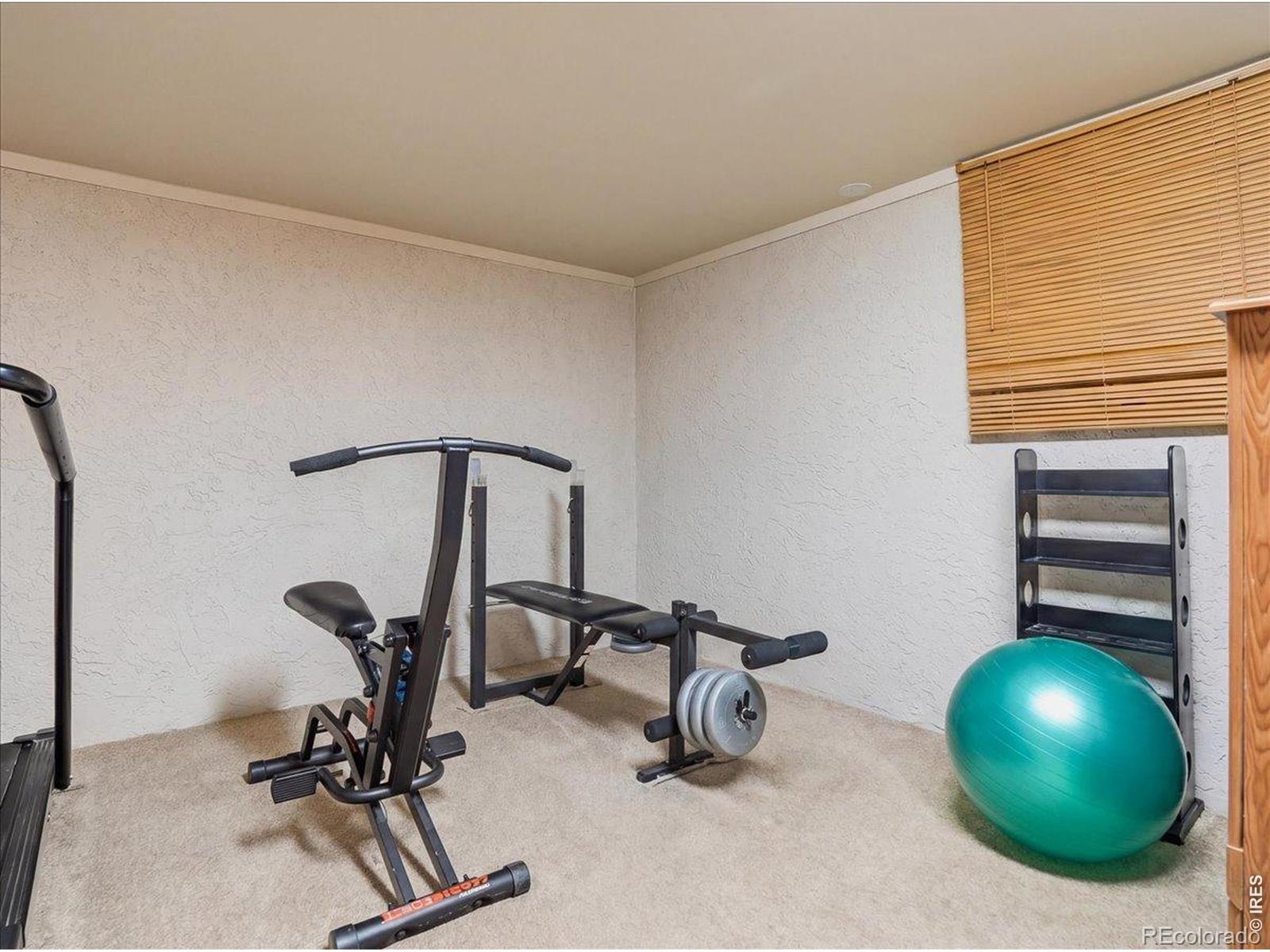 MLS Image #26 for 370  10th street,windsor, Colorado