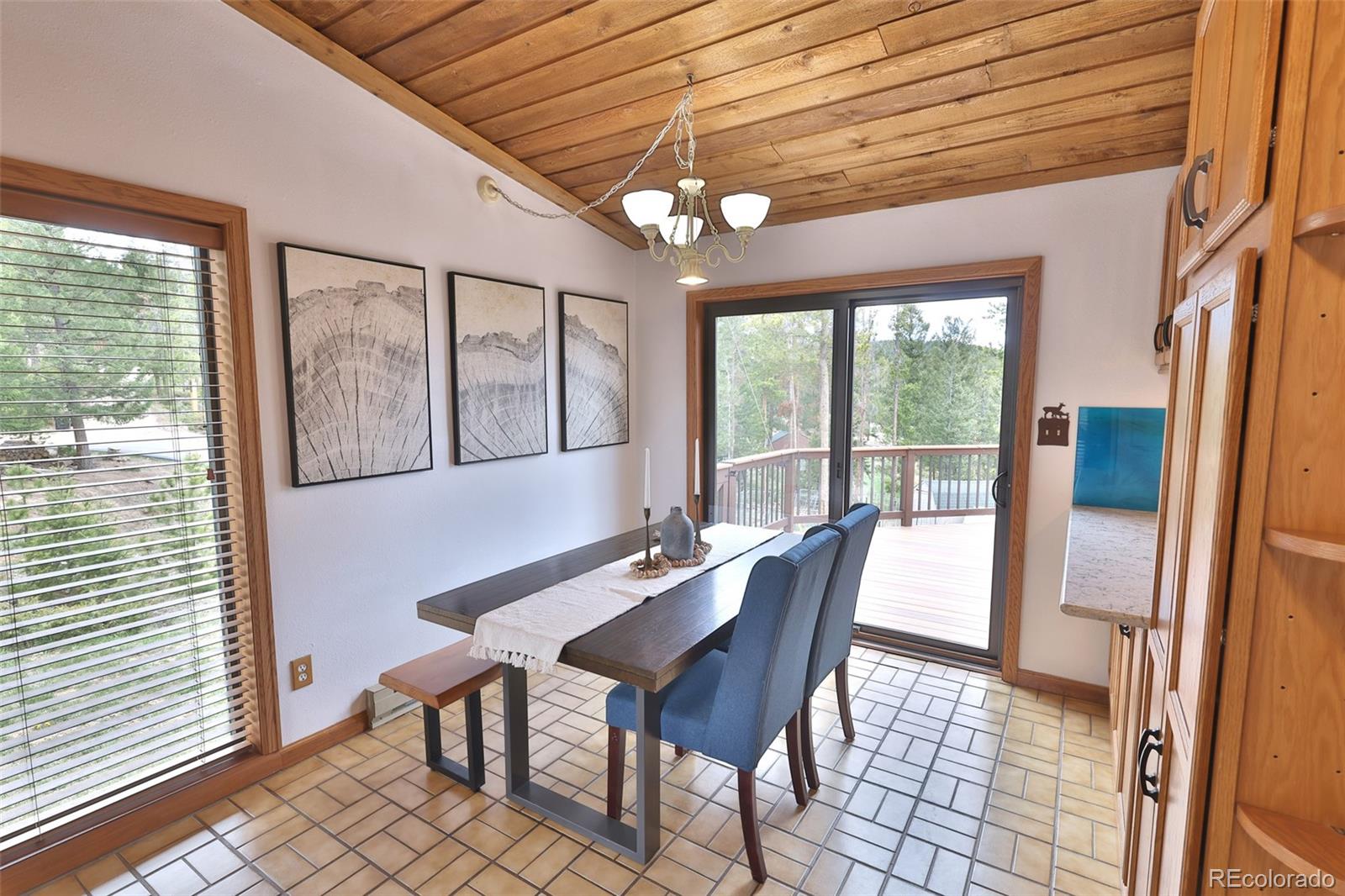 MLS Image #7 for 27888  pine grove trail,conifer, Colorado