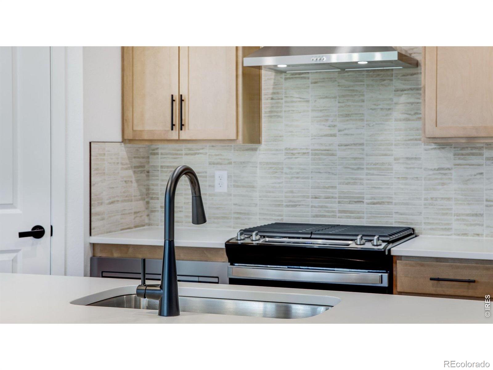 MLS Image #18 for 1727  knobby pine drive,fort collins, Colorado