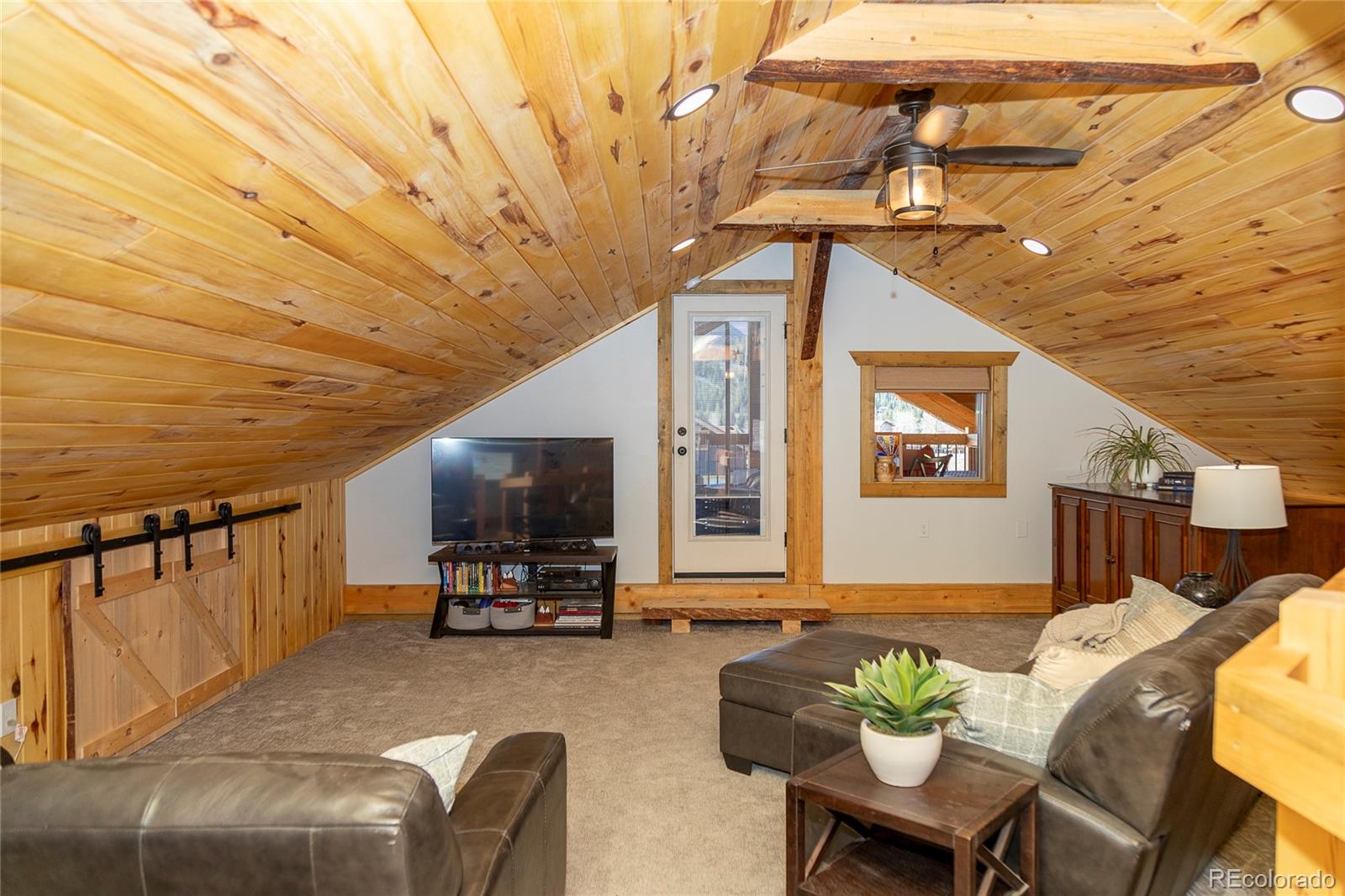 MLS Image #24 for 448  homestake drive,creede, Colorado