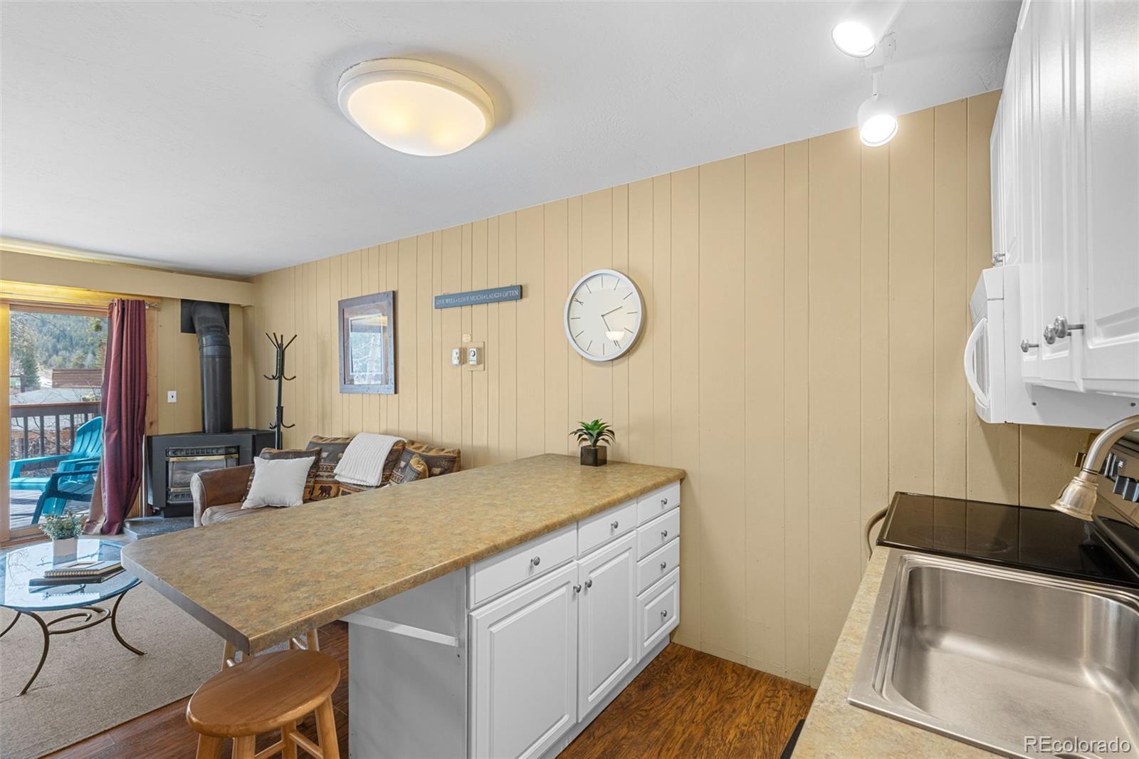 MLS Image #11 for 1513 e keystone road,dillon, Colorado