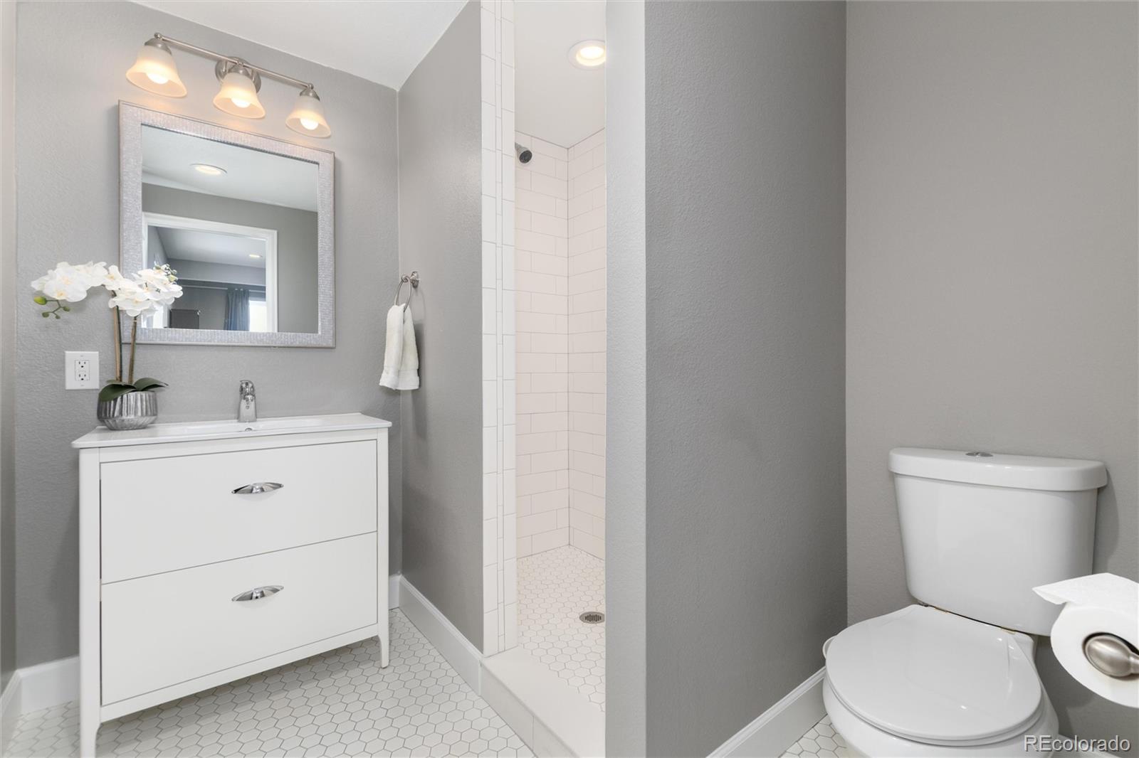MLS Image #19 for 3112  starry night loop,castle rock, Colorado