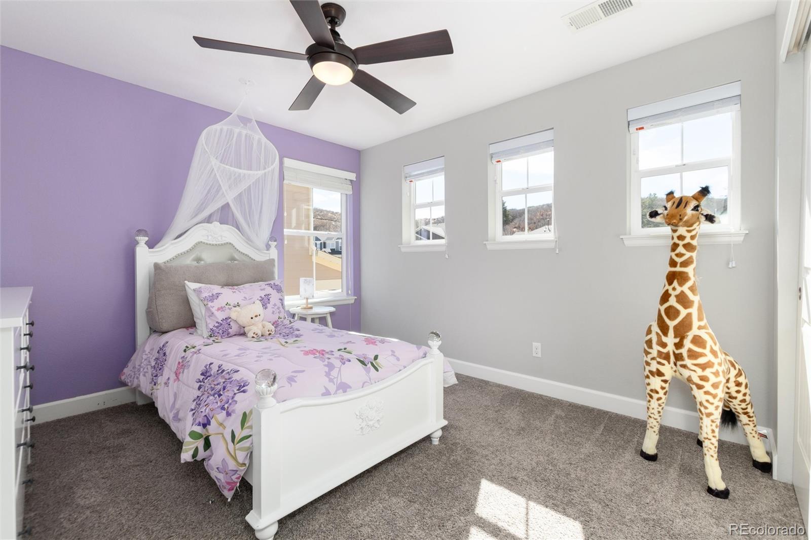 MLS Image #28 for 3112  starry night loop,castle rock, Colorado