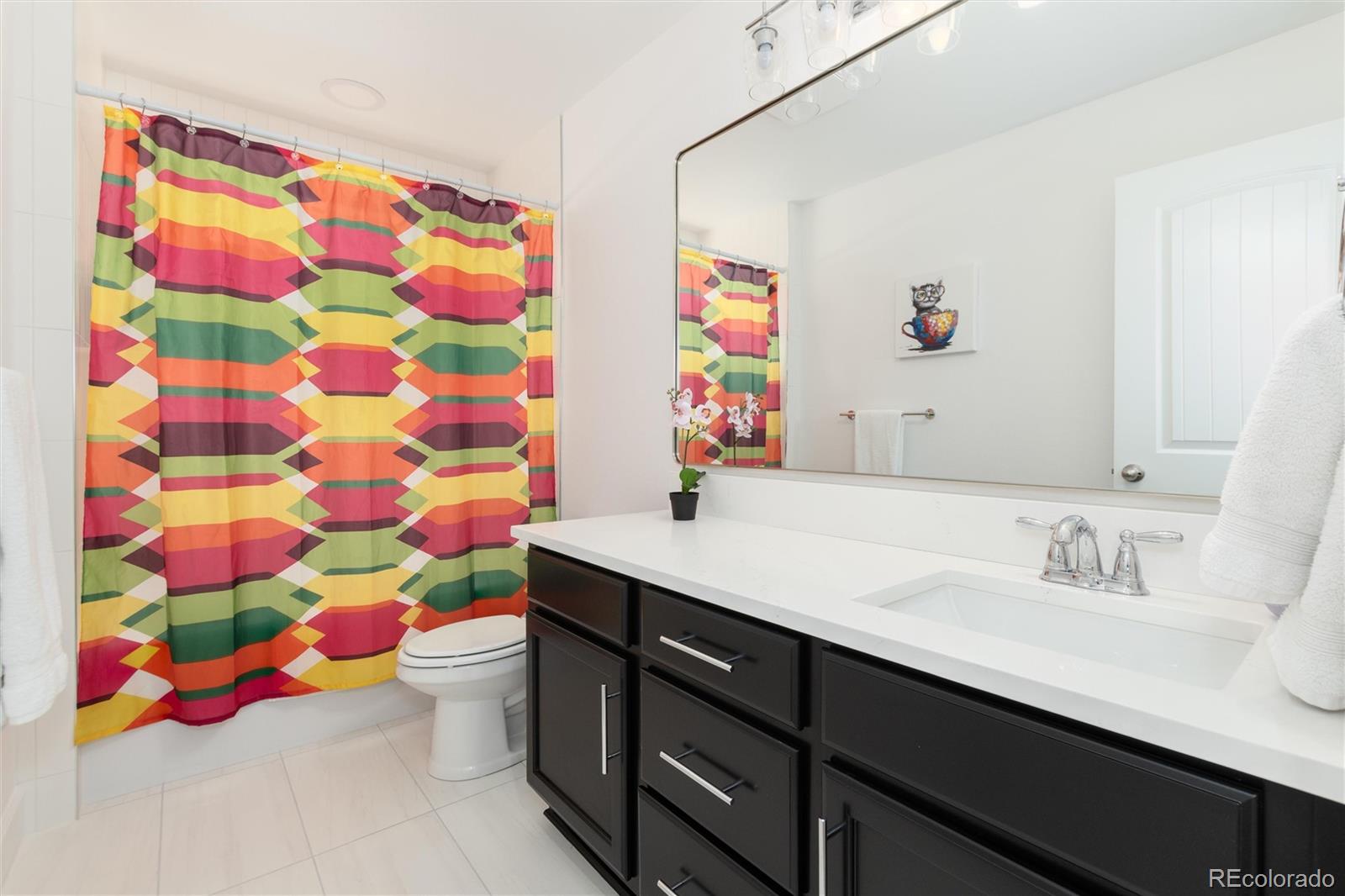 MLS Image #29 for 3112  starry night loop,castle rock, Colorado
