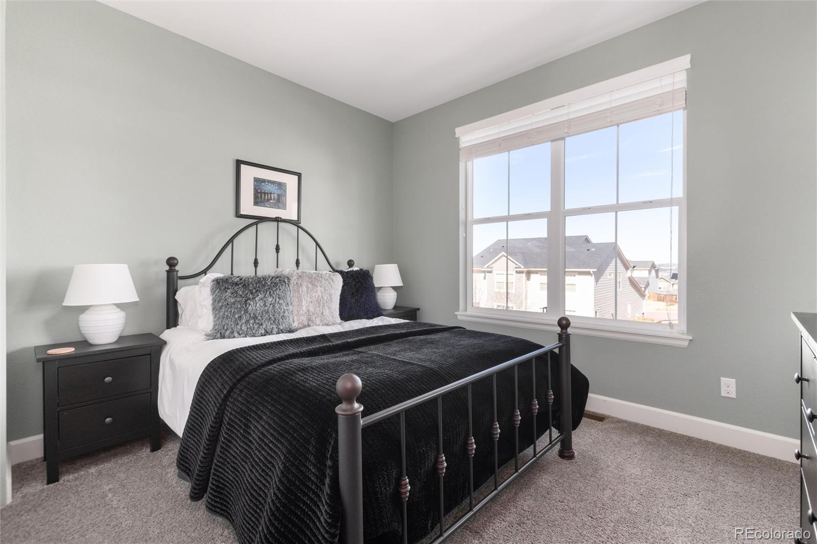 MLS Image #32 for 3112  starry night loop,castle rock, Colorado