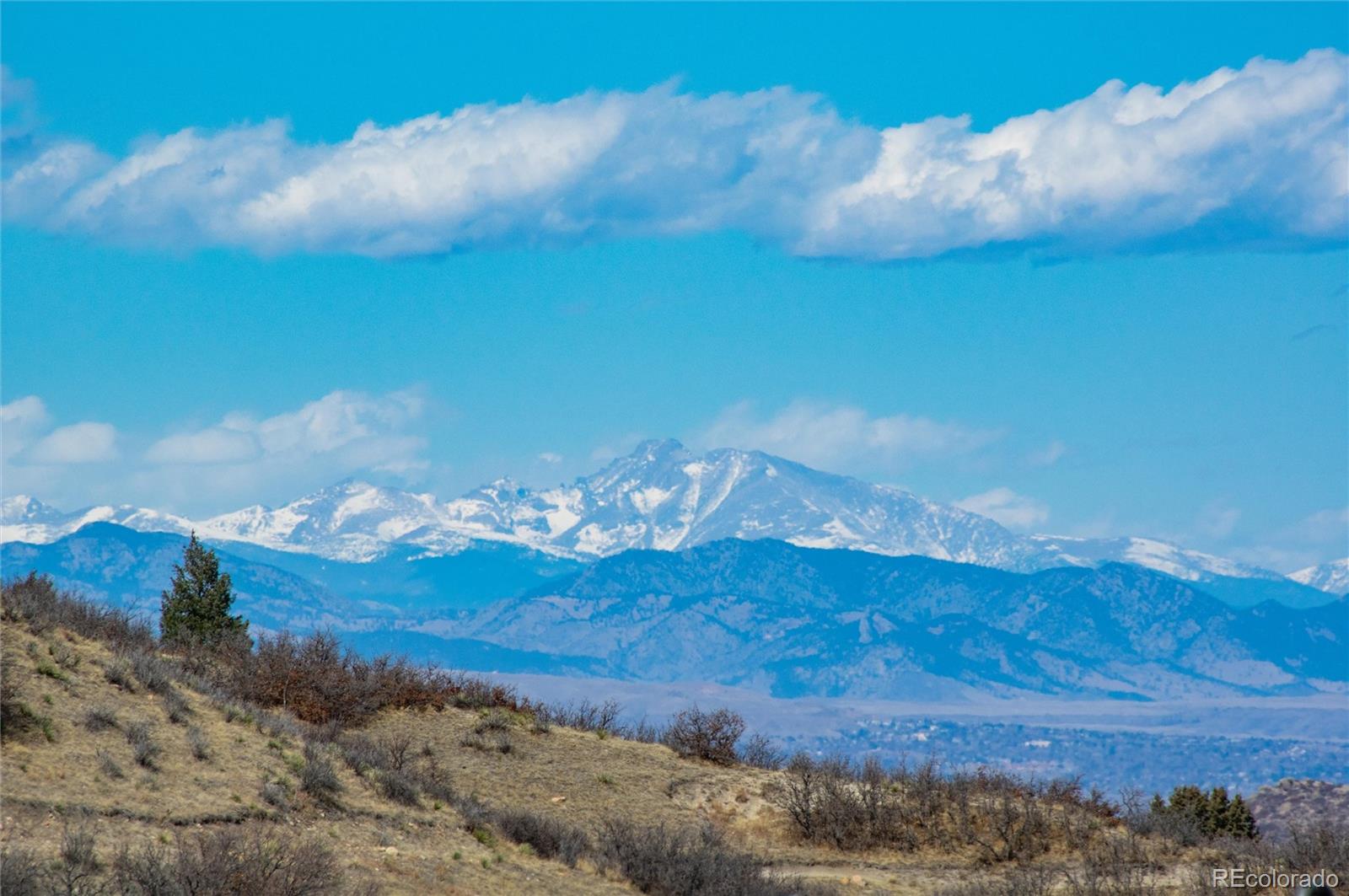 MLS Image #44 for 3112  starry night loop,castle rock, Colorado