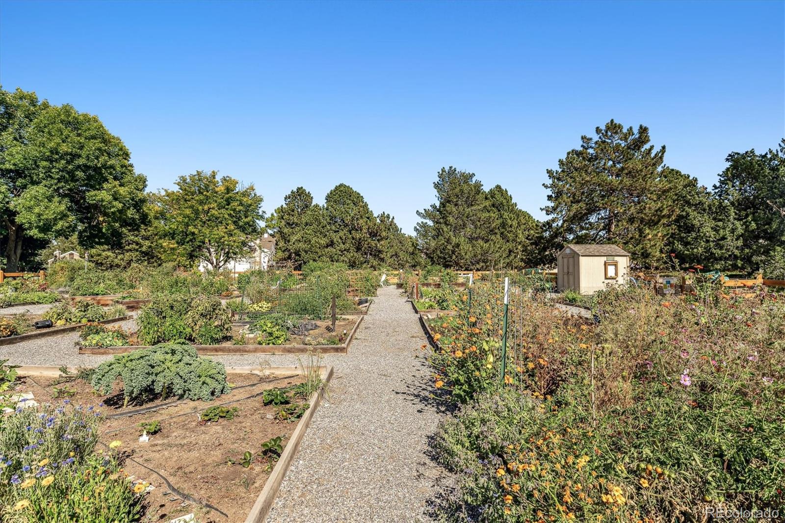 MLS Image #19 for 3354 s flower street,lakewood, Colorado