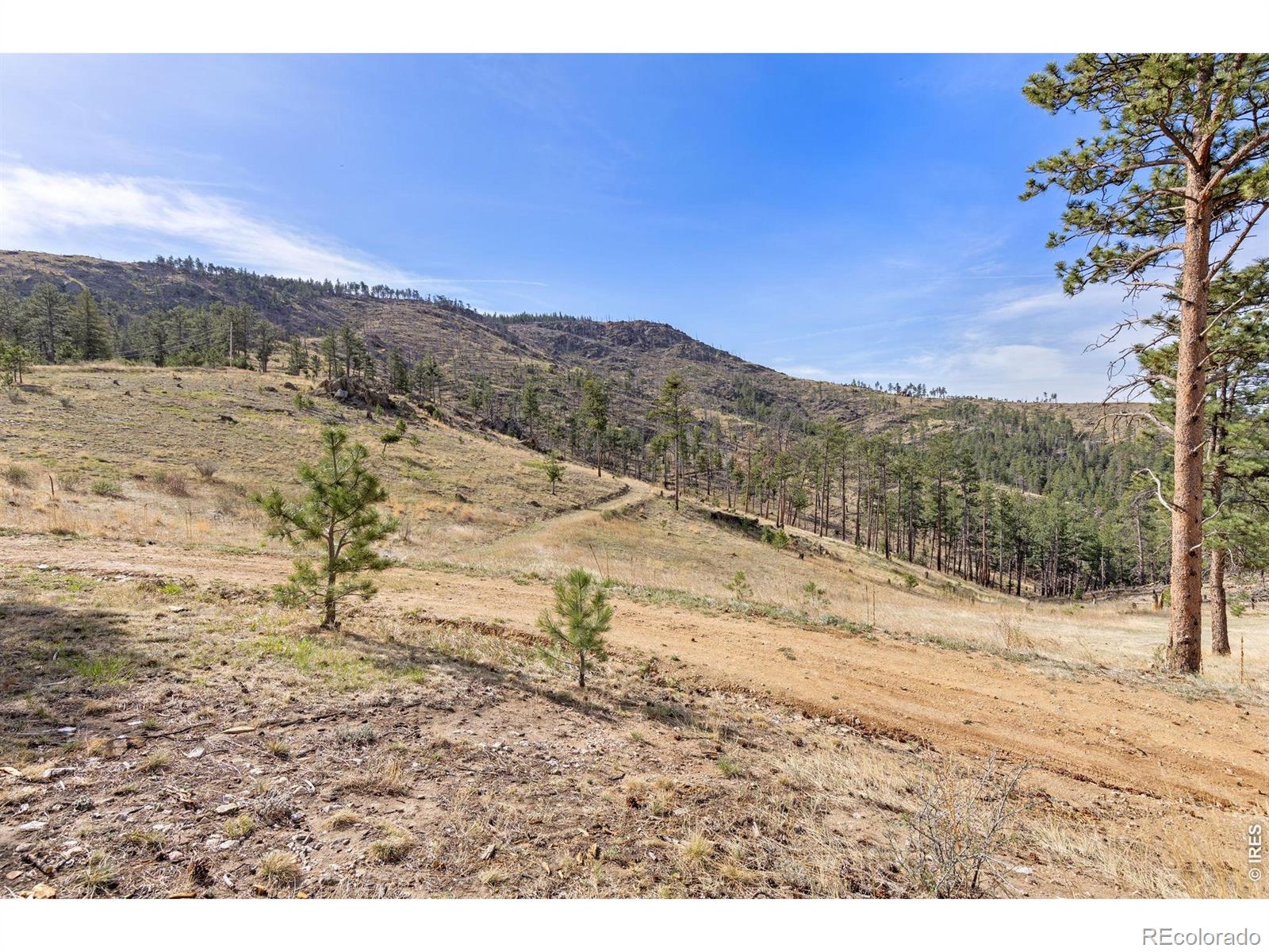 MLS Image #31 for 2205  james park trail,loveland, Colorado