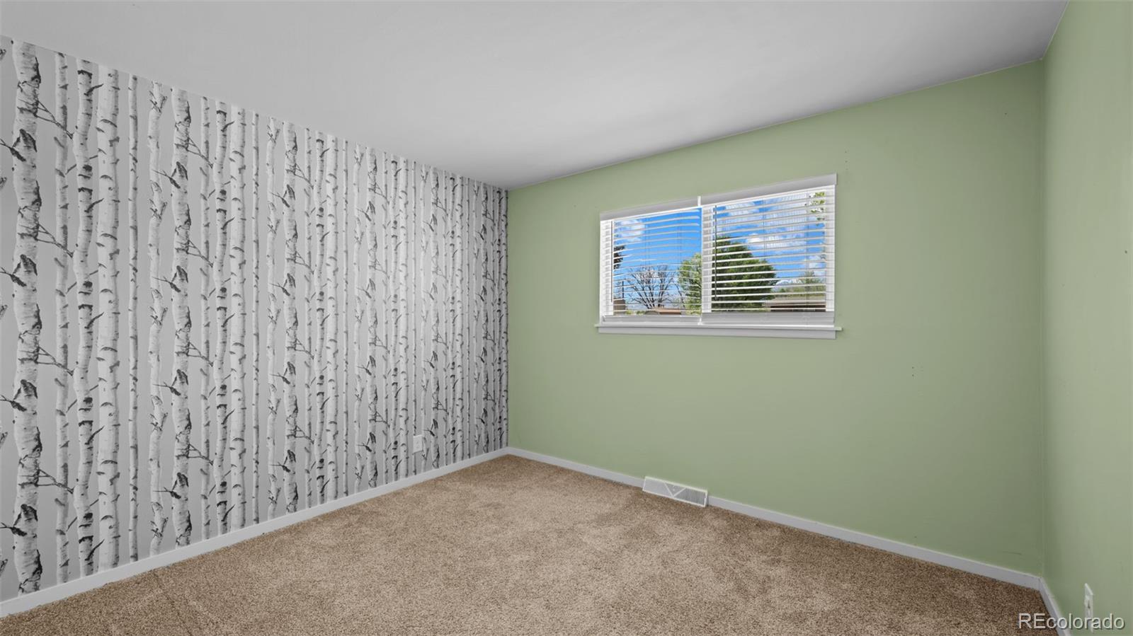 MLS Image #16 for 103  bradley street,colorado springs, Colorado