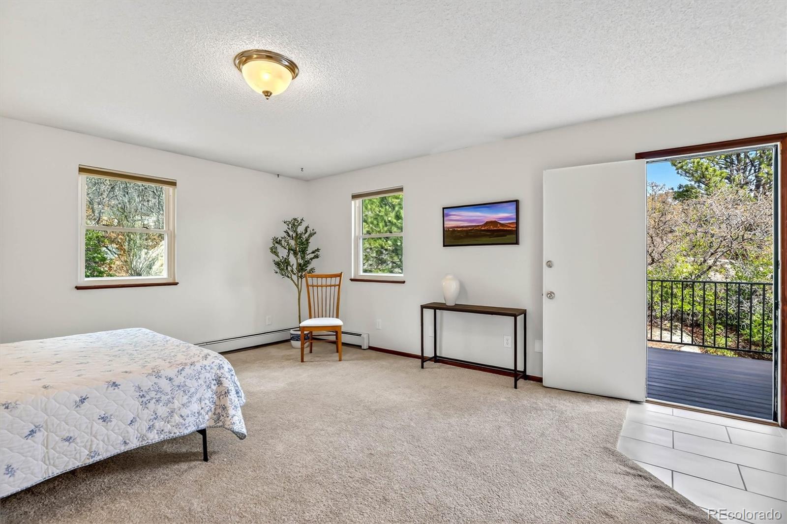 MLS Image #12 for 243  dawson drive,castle rock, Colorado