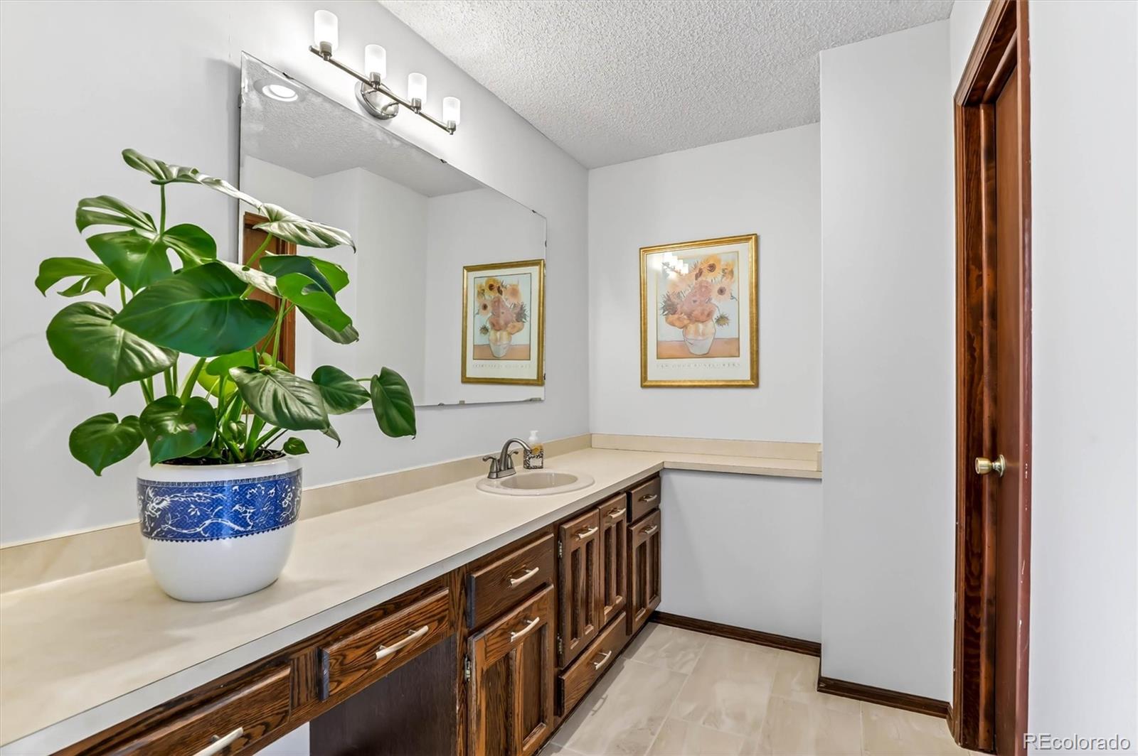 MLS Image #24 for 243  dawson drive,castle rock, Colorado