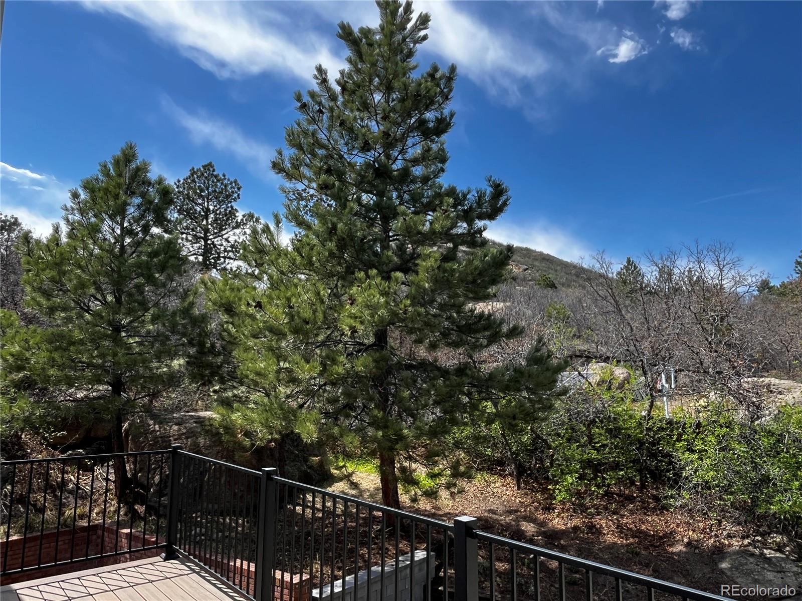 MLS Image #3 for 243  dawson drive,castle rock, Colorado