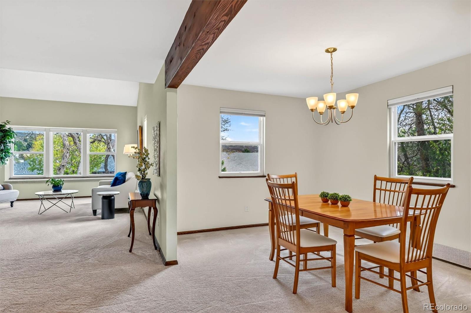 MLS Image #9 for 243  dawson drive,castle rock, Colorado
