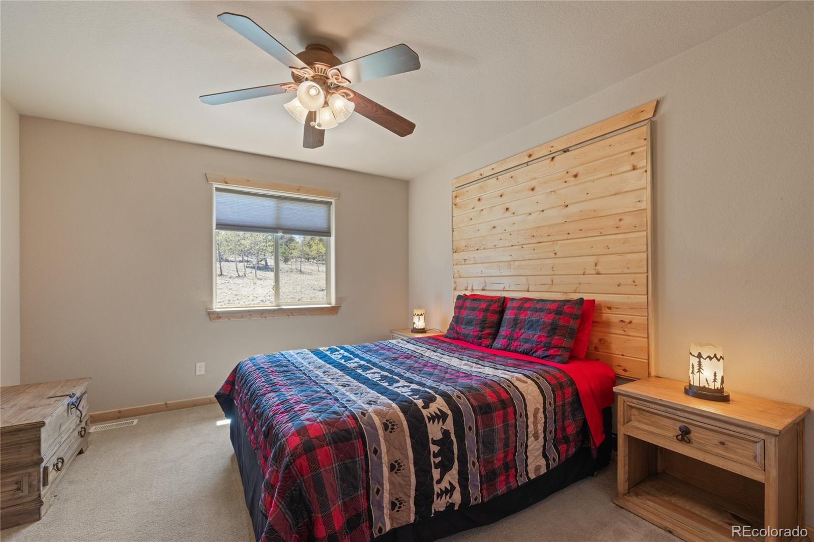 MLS Image #21 for 1948  wagon wheel road,hartsel, Colorado