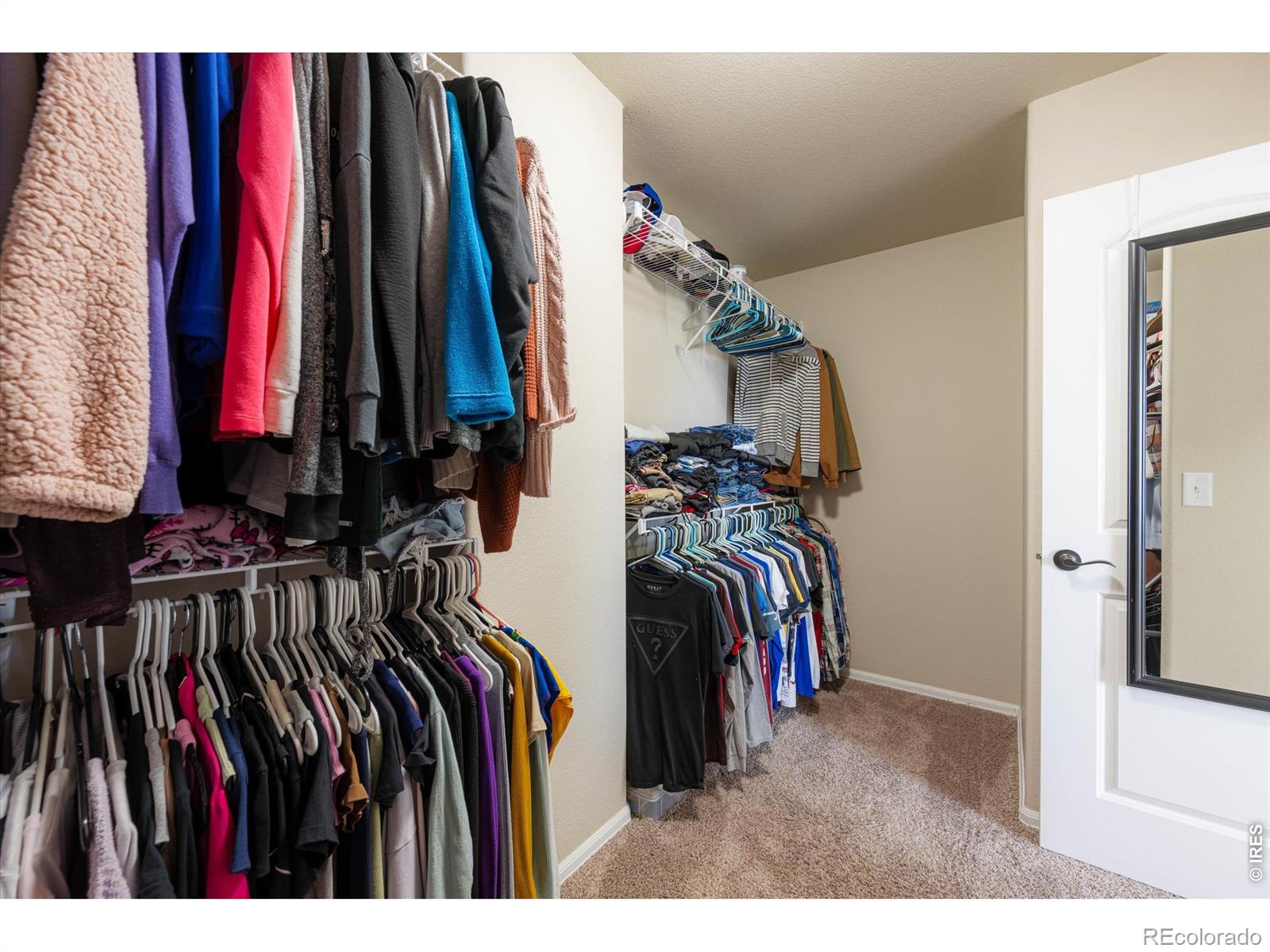 MLS Image #29 for 1205  muskox street,severance, Colorado