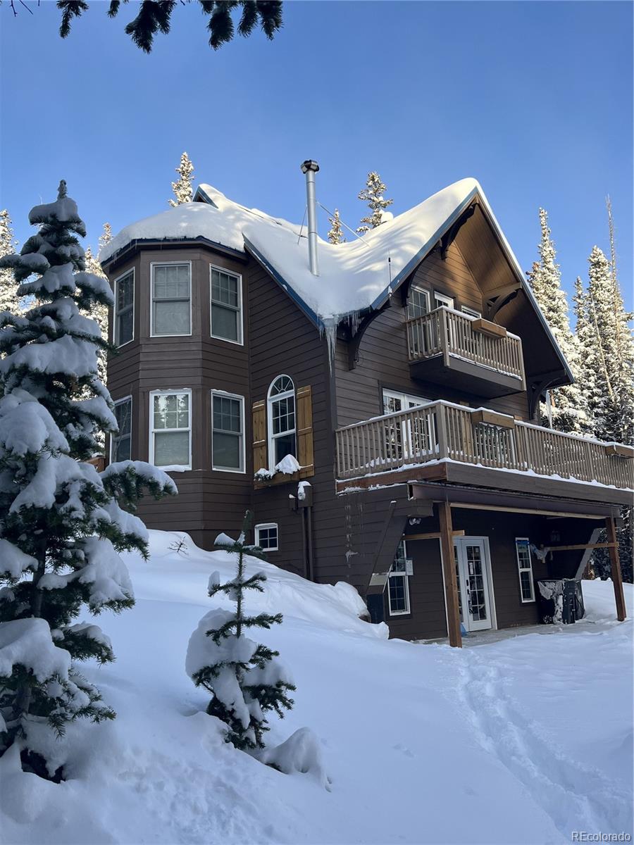 MLS Image #1 for 215  bum drive,fairplay, Colorado