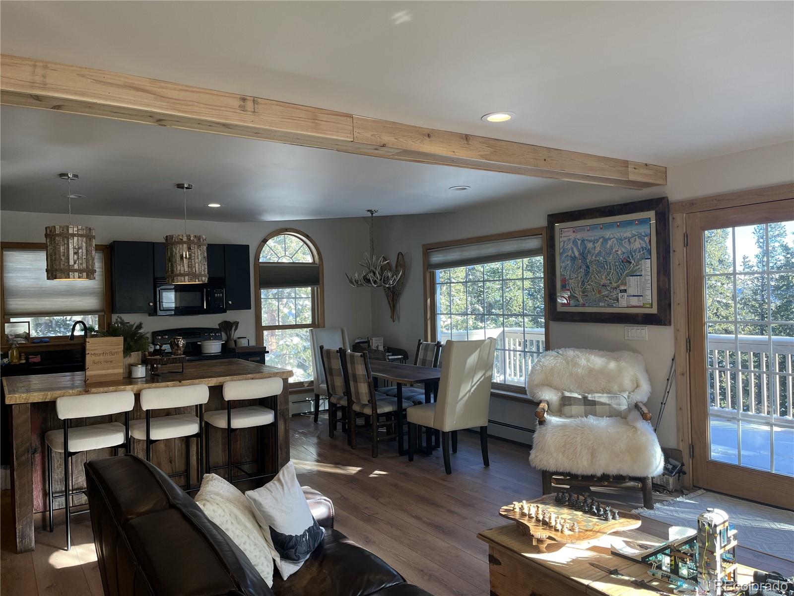 MLS Image #10 for 215  bum drive,fairplay, Colorado