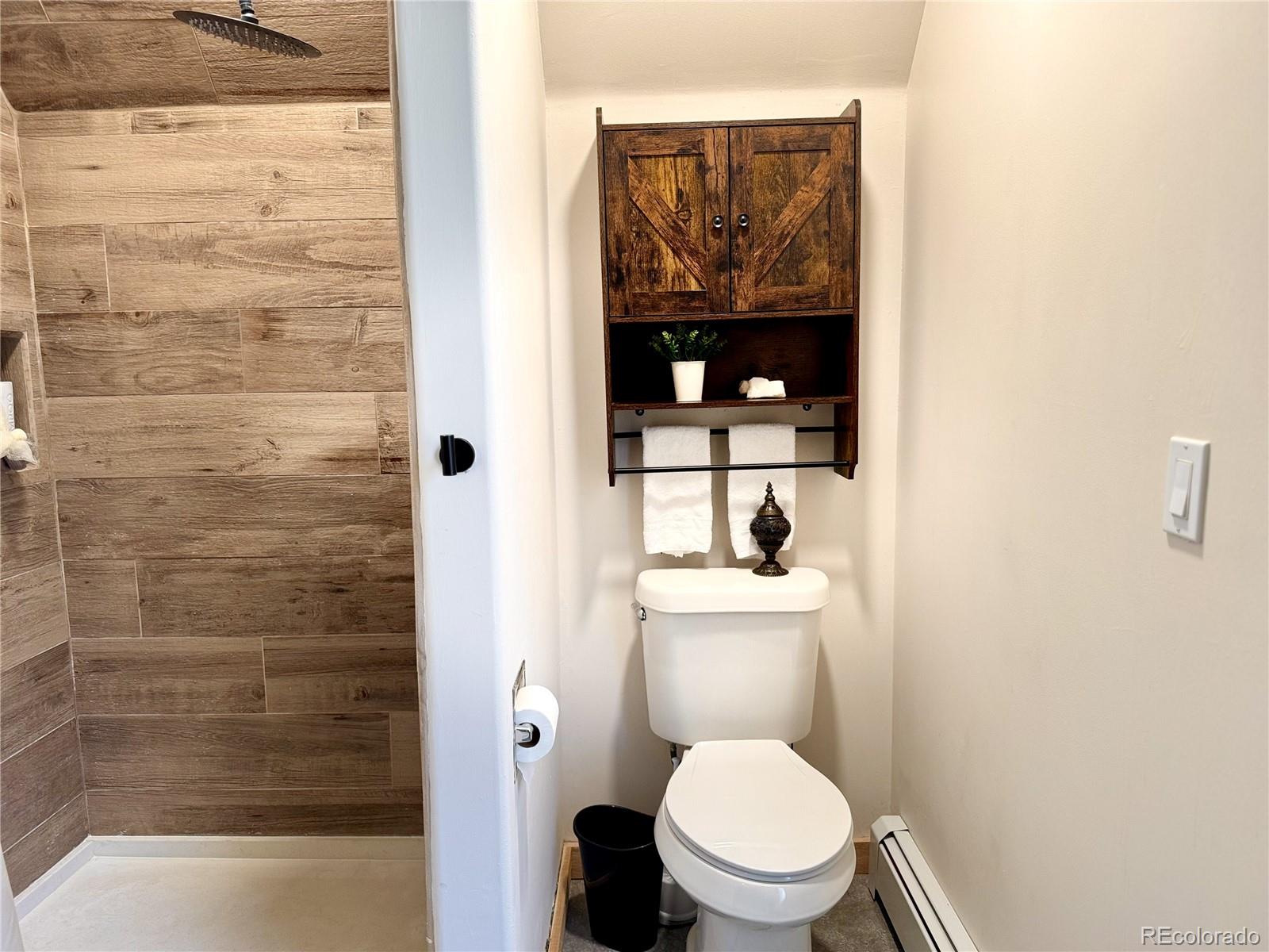 MLS Image #21 for 215  bum drive,fairplay, Colorado