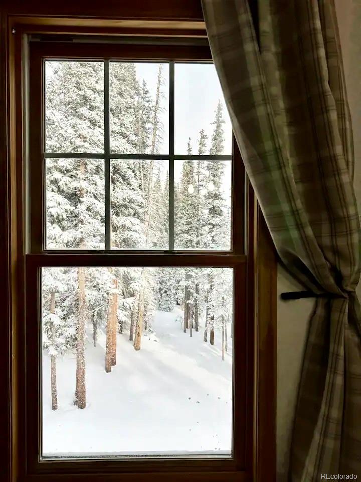 MLS Image #22 for 215  bum drive,fairplay, Colorado