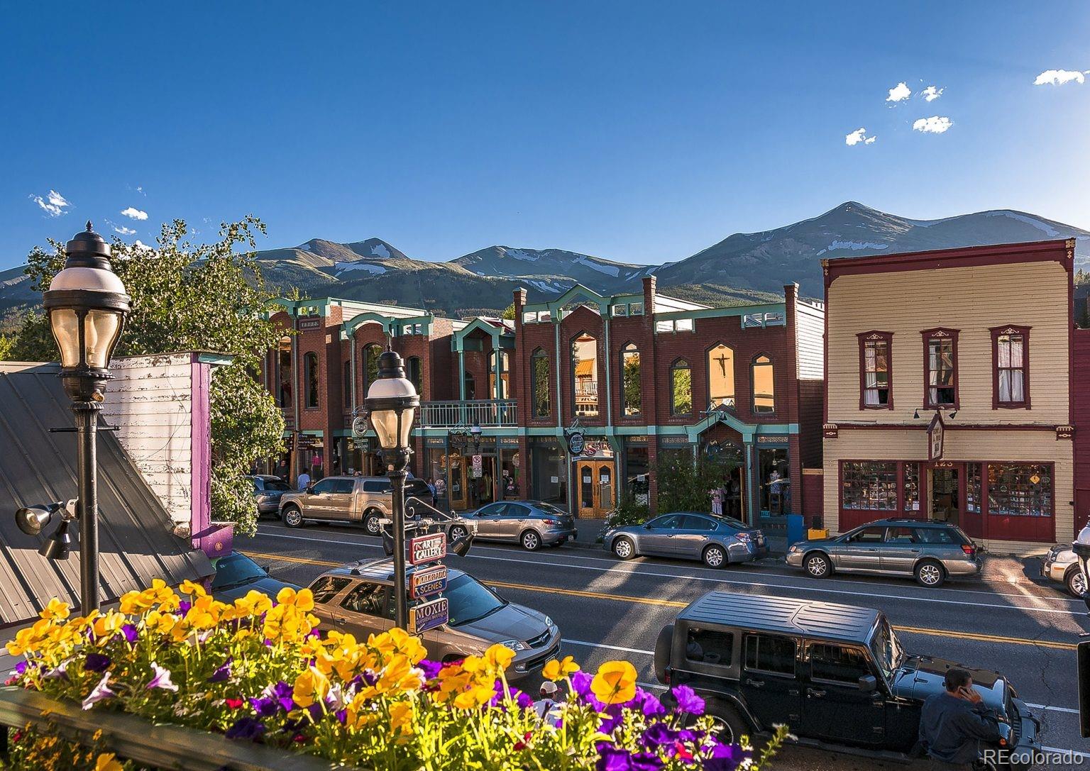 MLS Image #26 for 215  bum drive,fairplay, Colorado