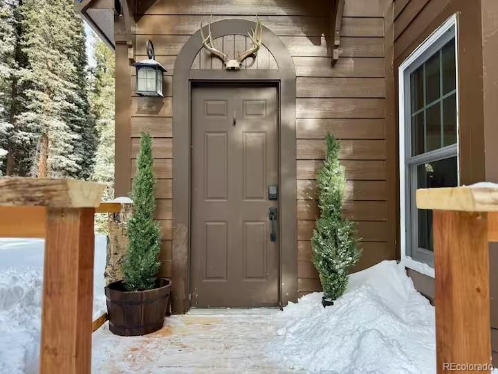 MLS Image #4 for 215  bum drive,fairplay, Colorado