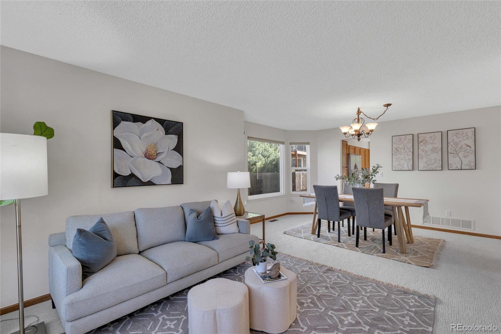 MLS Image #3 for 11634  laurel lane,parker, Colorado