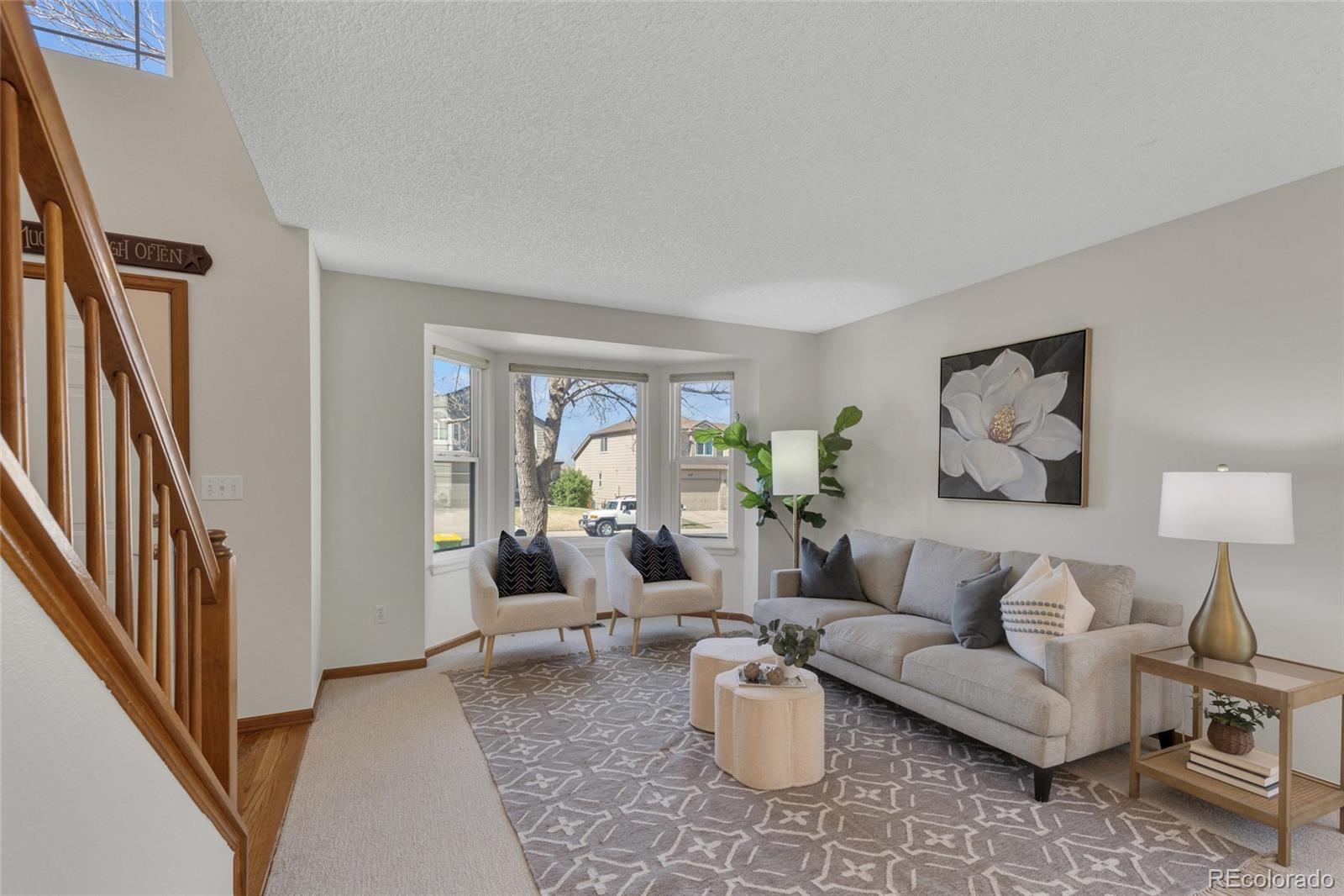 MLS Image #5 for 11634  laurel lane,parker, Colorado