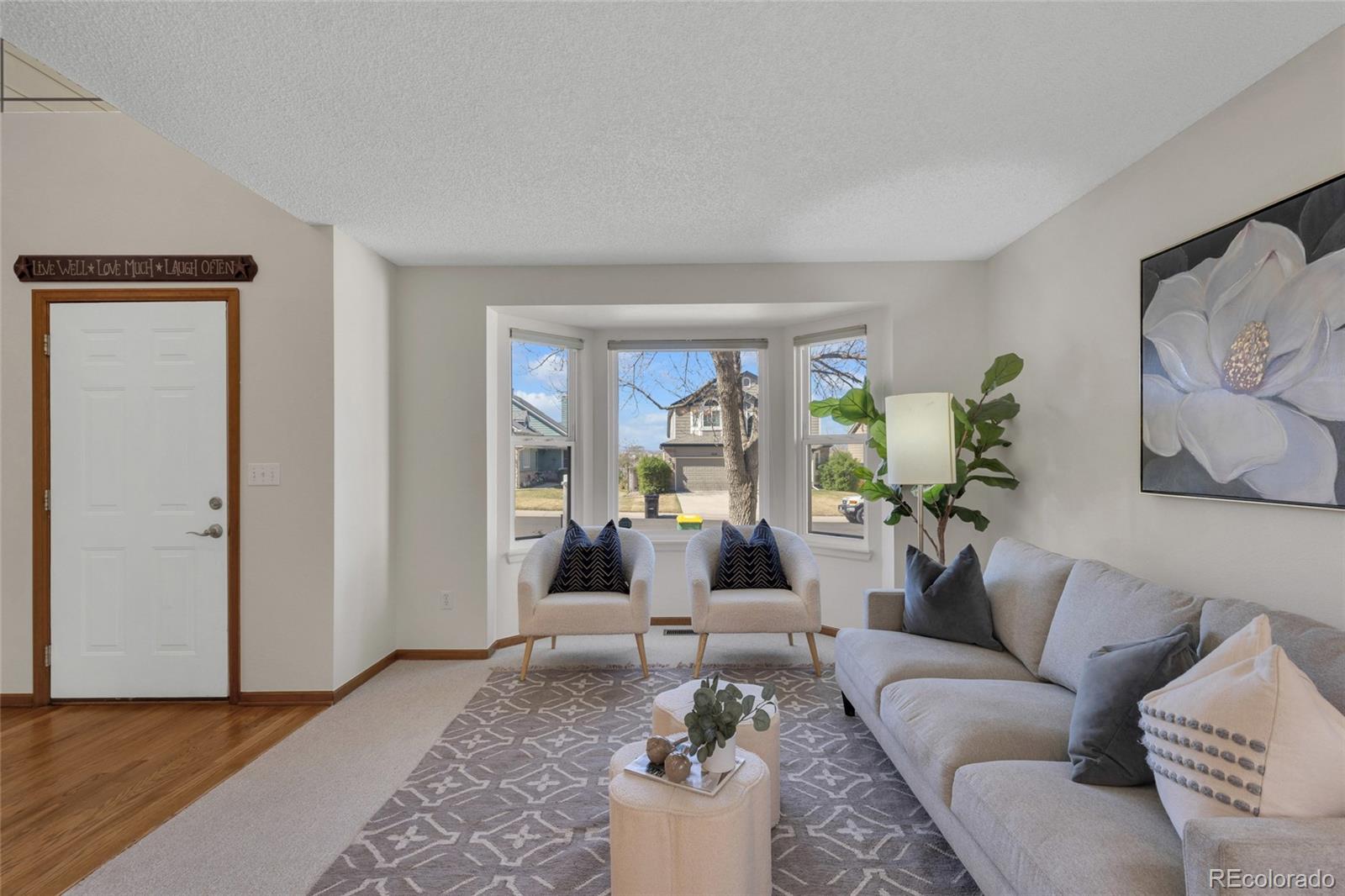 MLS Image #6 for 11634  laurel lane,parker, Colorado