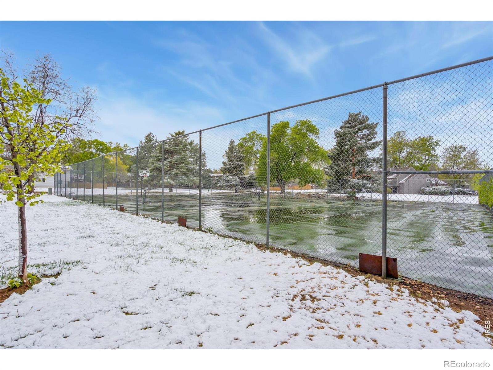 MLS Image #23 for 809 e drake road,fort collins, Colorado