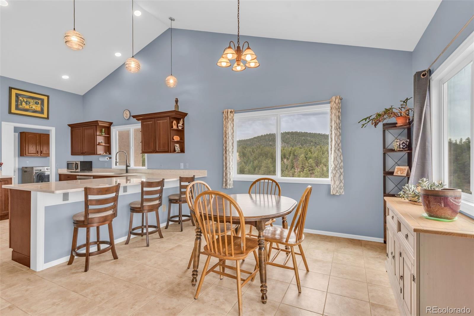 MLS Image #5 for 4430  county road 260 ,westcliffe, Colorado