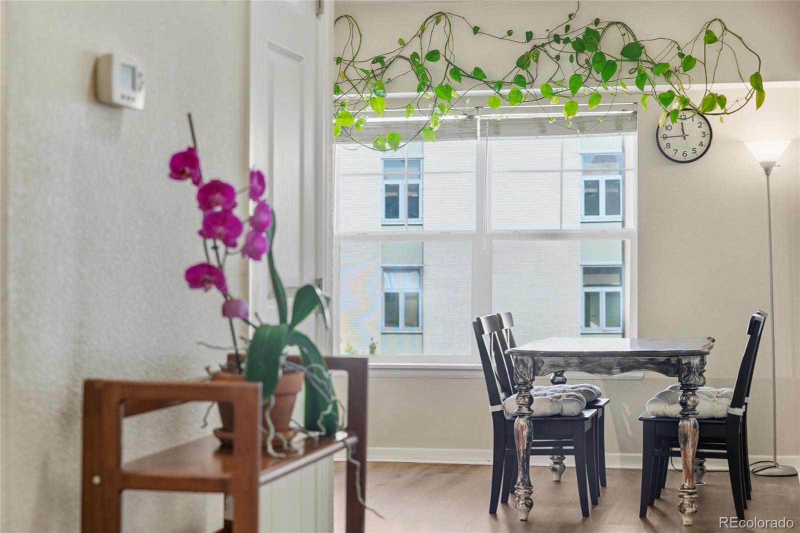 MLS Image #13 for 1623  saint paul street,denver, Colorado