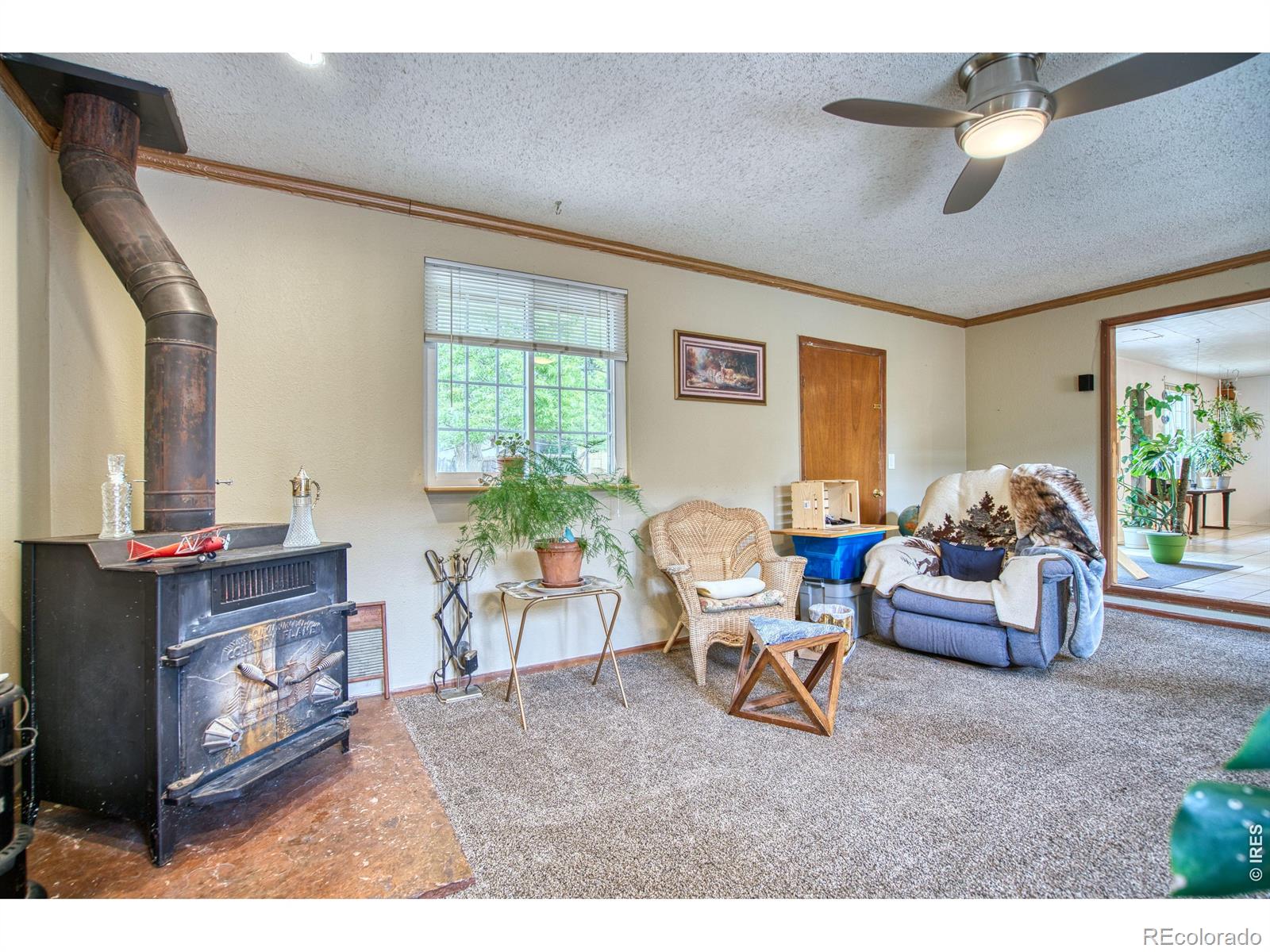 MLS Image #12 for 36  placer avenue,longmont, Colorado