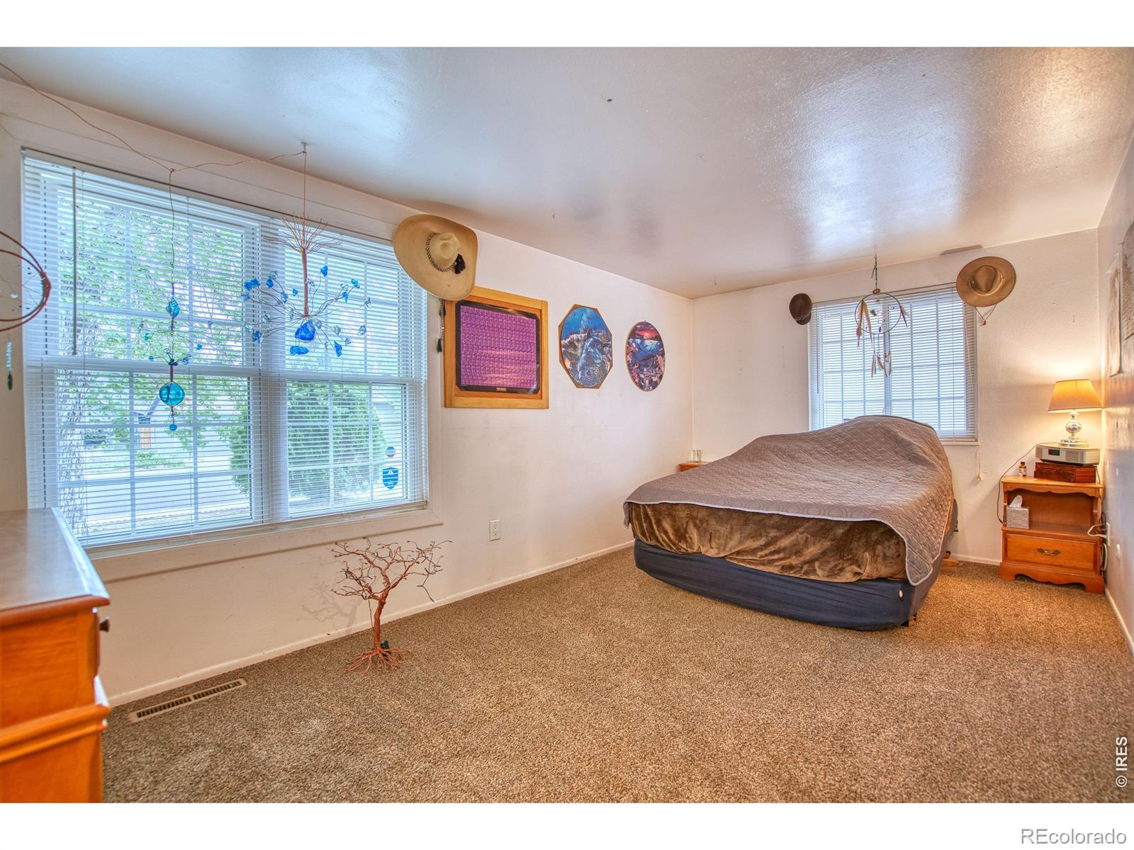 MLS Image #13 for 36  placer avenue,longmont, Colorado