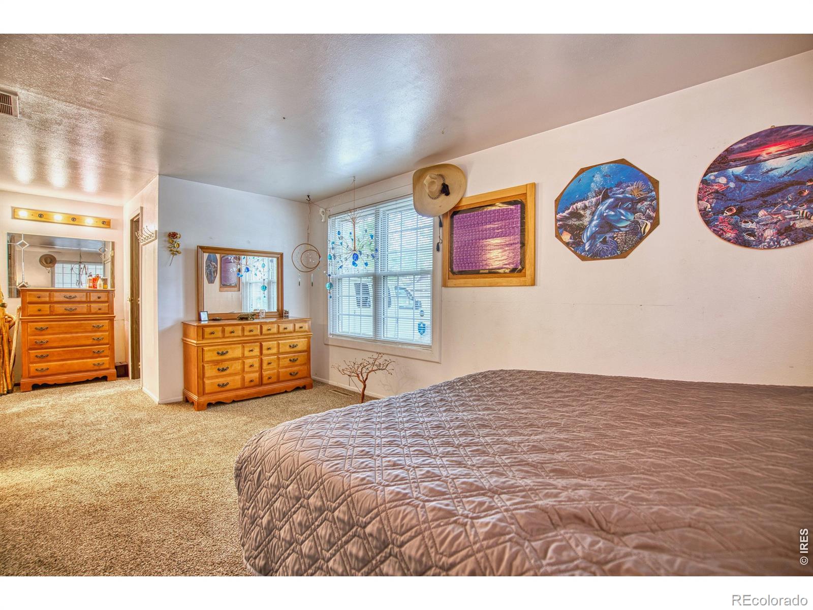 MLS Image #14 for 36  placer avenue,longmont, Colorado
