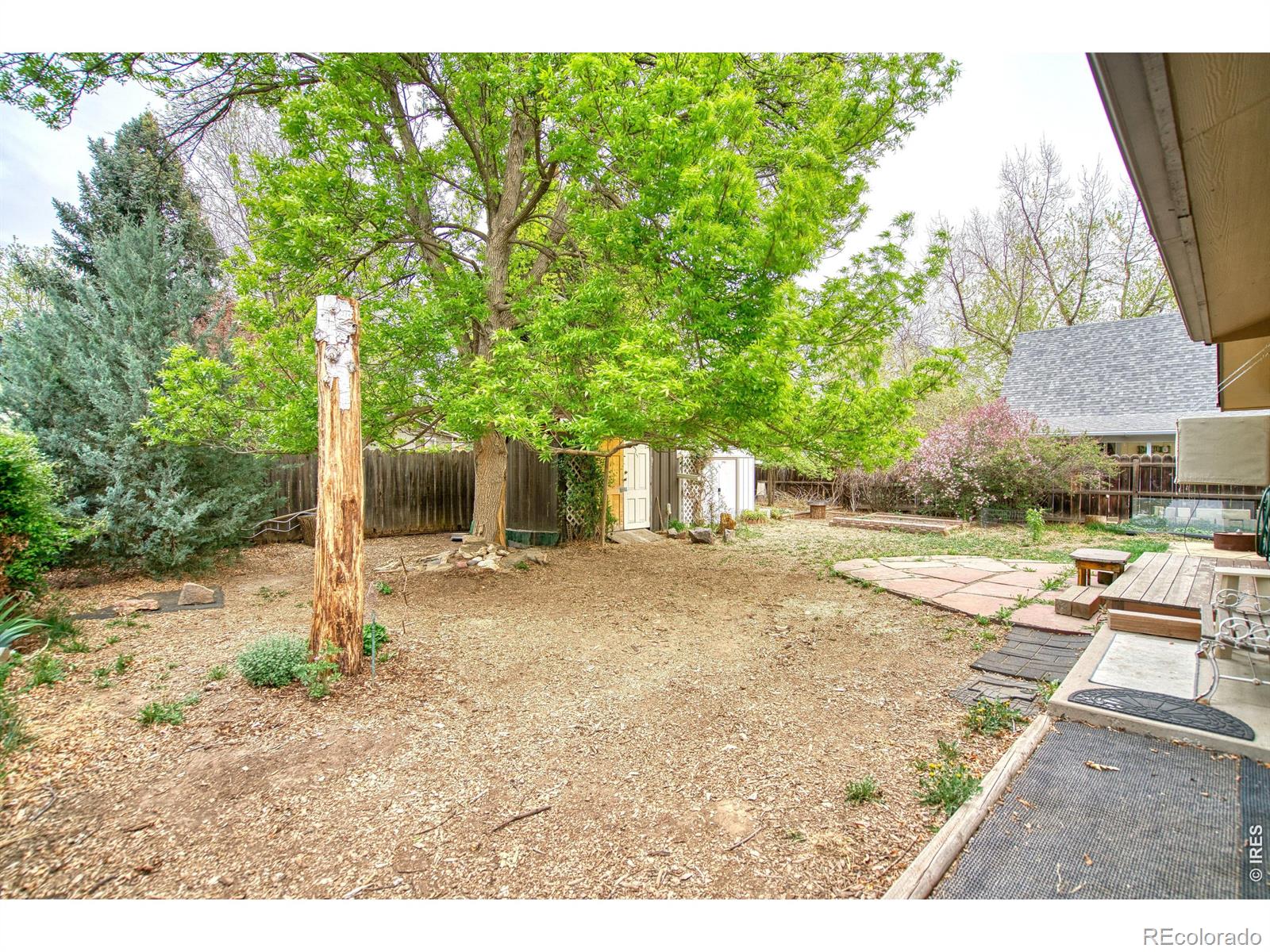 MLS Image #19 for 36  placer avenue,longmont, Colorado