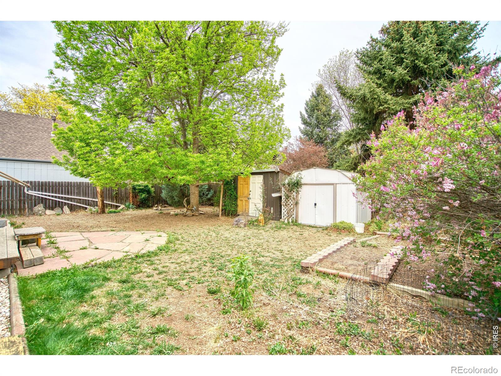 MLS Image #22 for 36  placer avenue,longmont, Colorado
