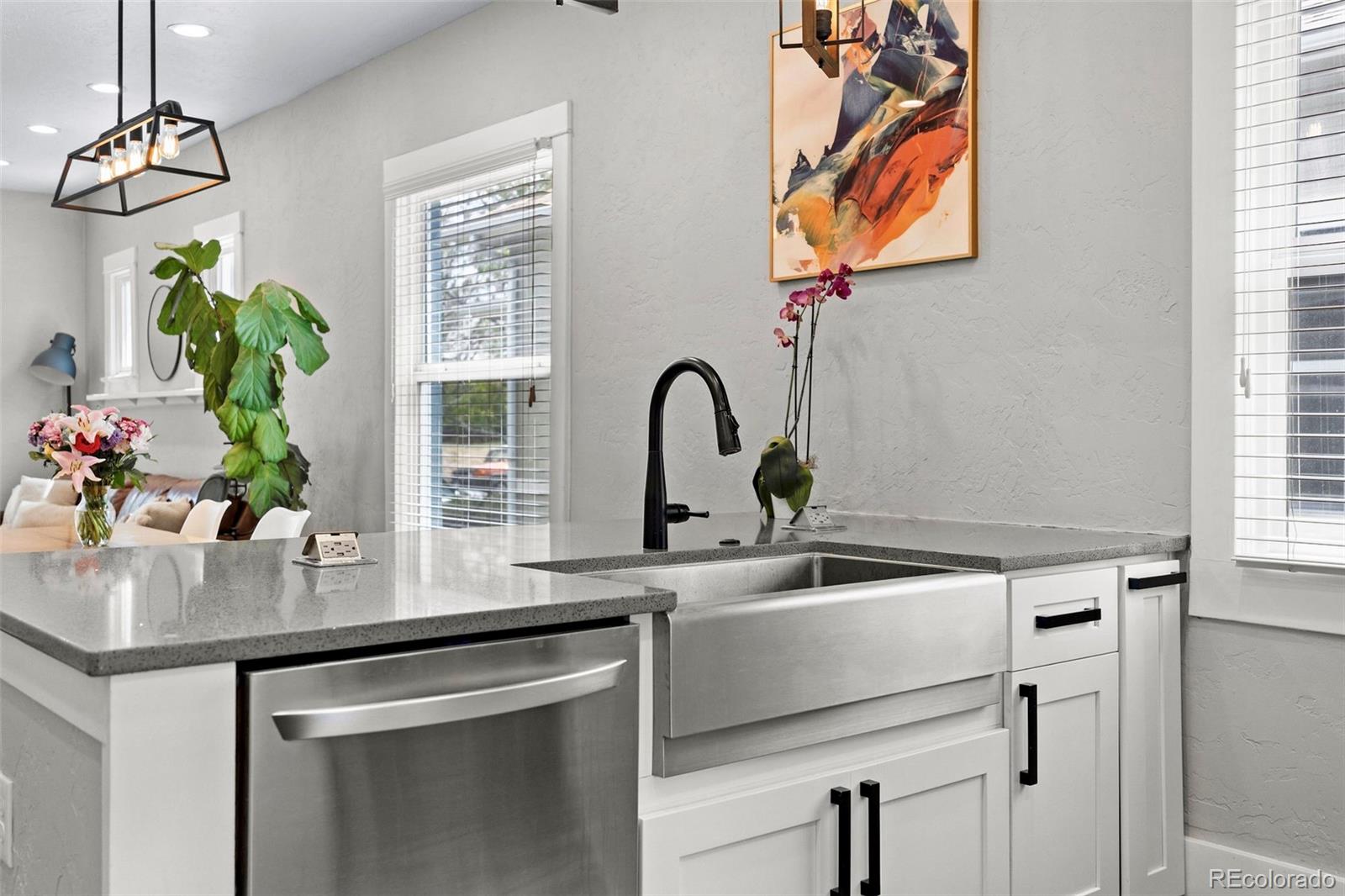 MLS Image #8 for 3127 n josephine street,denver, Colorado