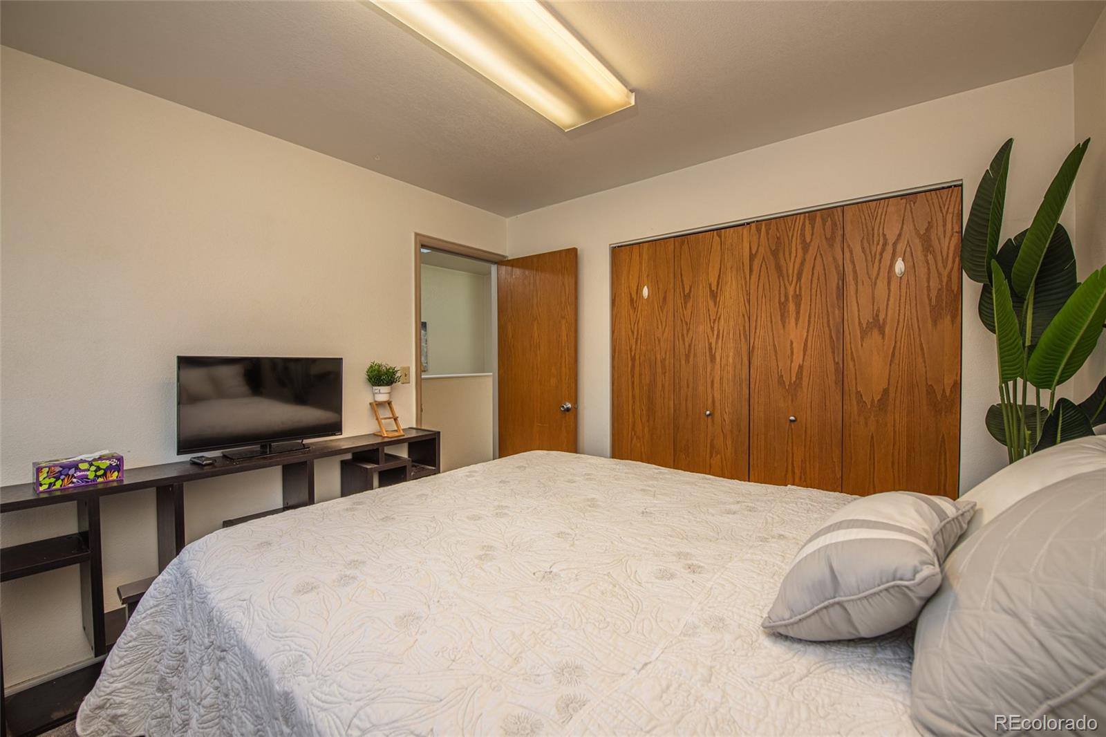 MLS Image #20 for 1243  holland park boulevard,colorado springs, Colorado