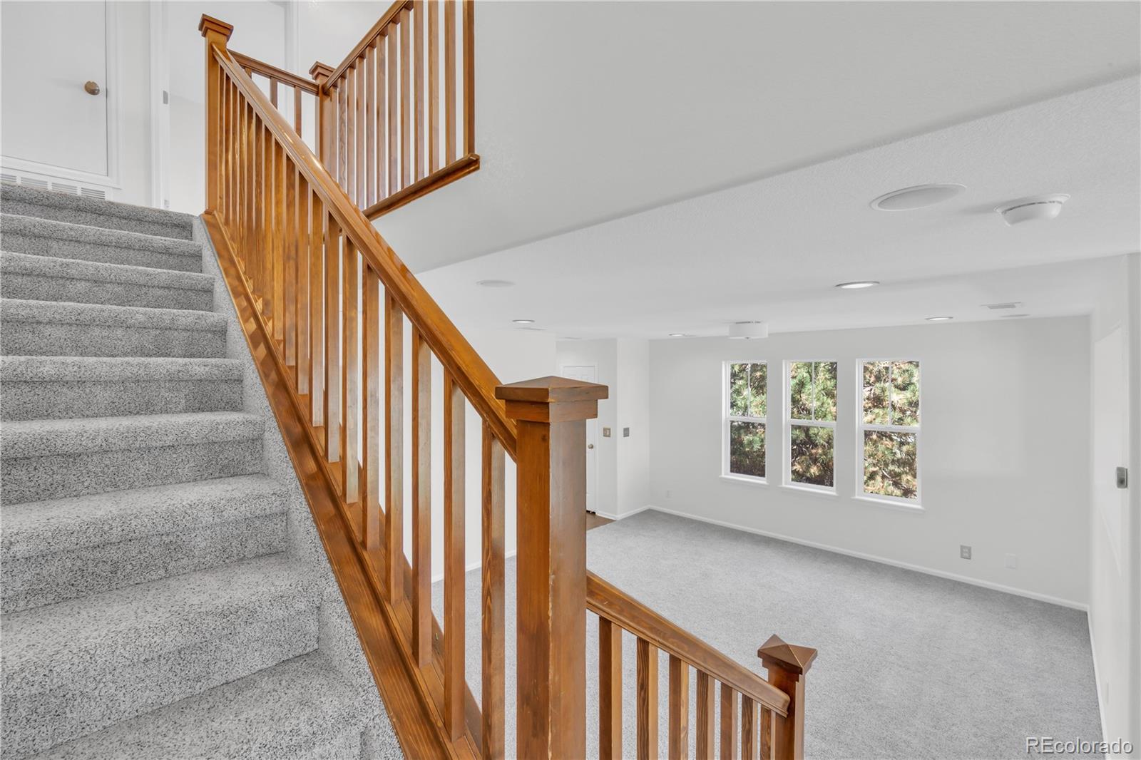 MLS Image #25 for 11959  riverstone circle,henderson, Colorado
