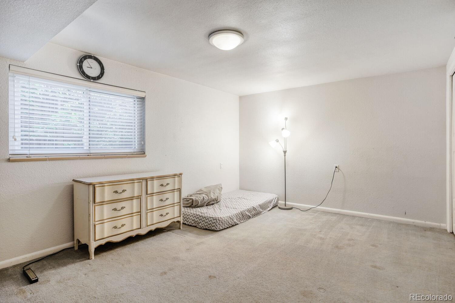 MLS Image #19 for 513 s magnolia lane,denver, Colorado